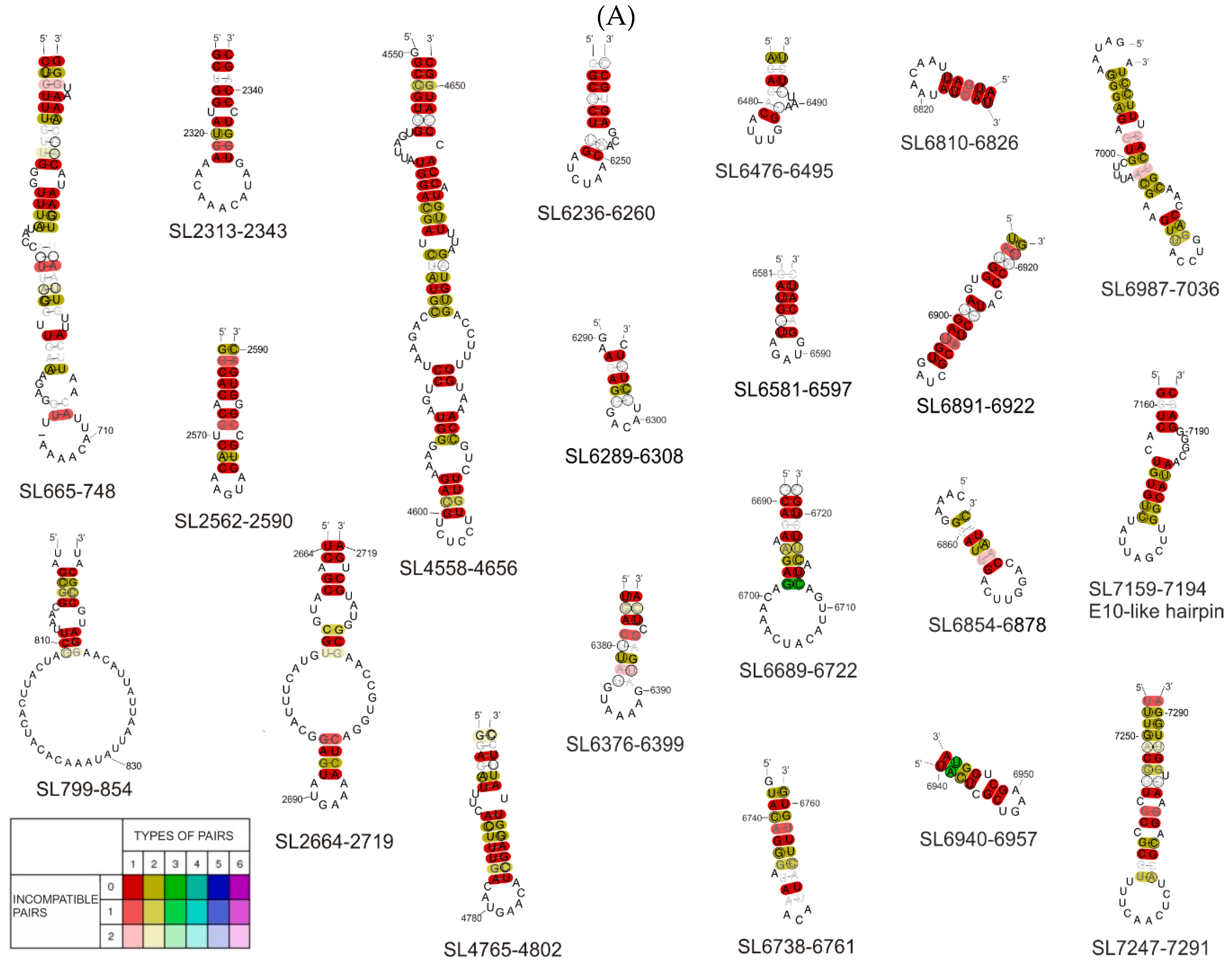Viruses 12 01232 g004a Viruses 12 01232 g004a