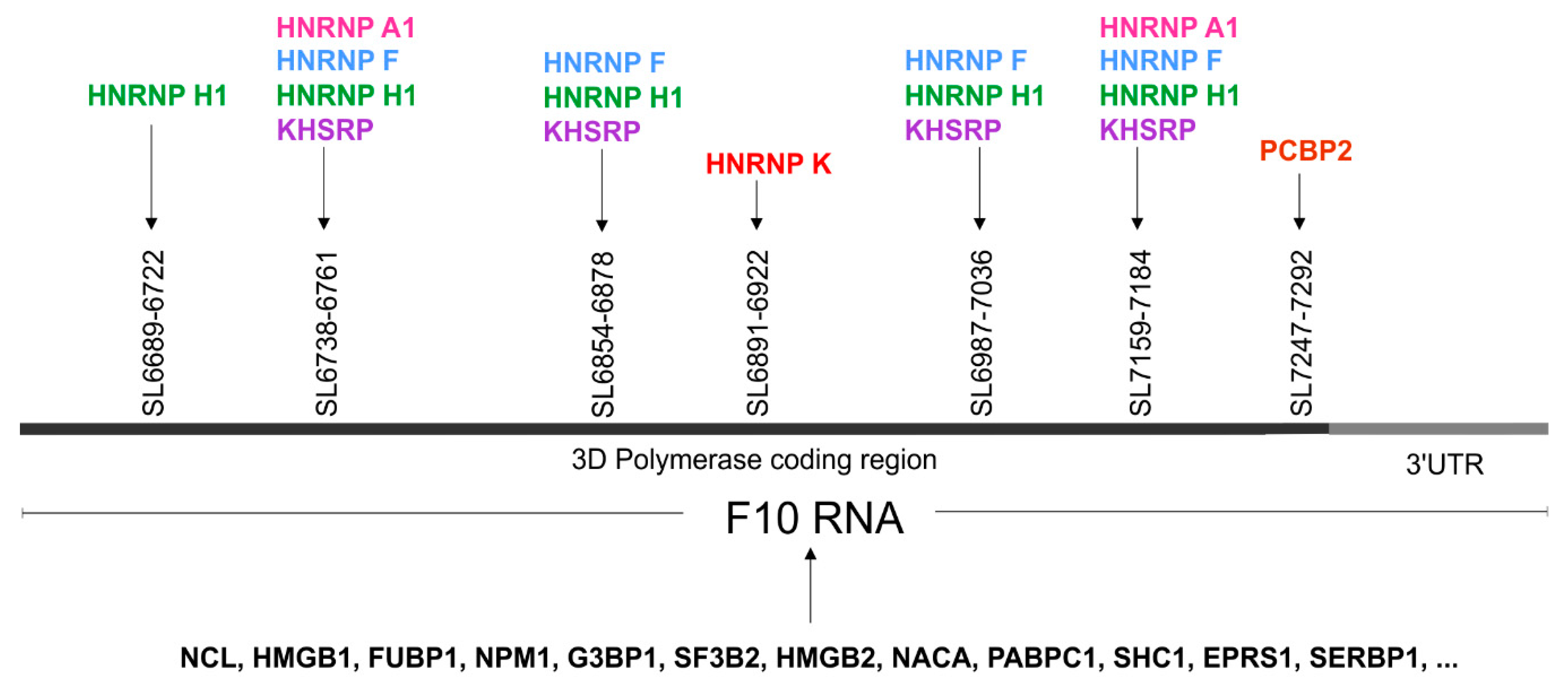 Viruses 12 01232 g006 Viruses 12 01232 g006