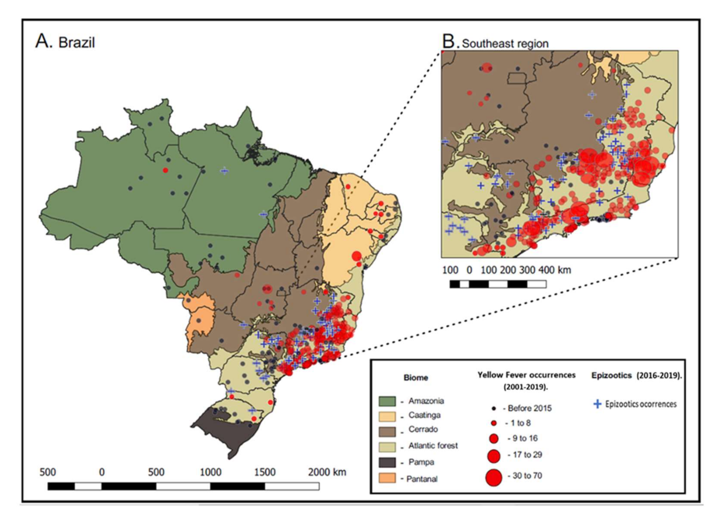 Viruses 12 01233 g002