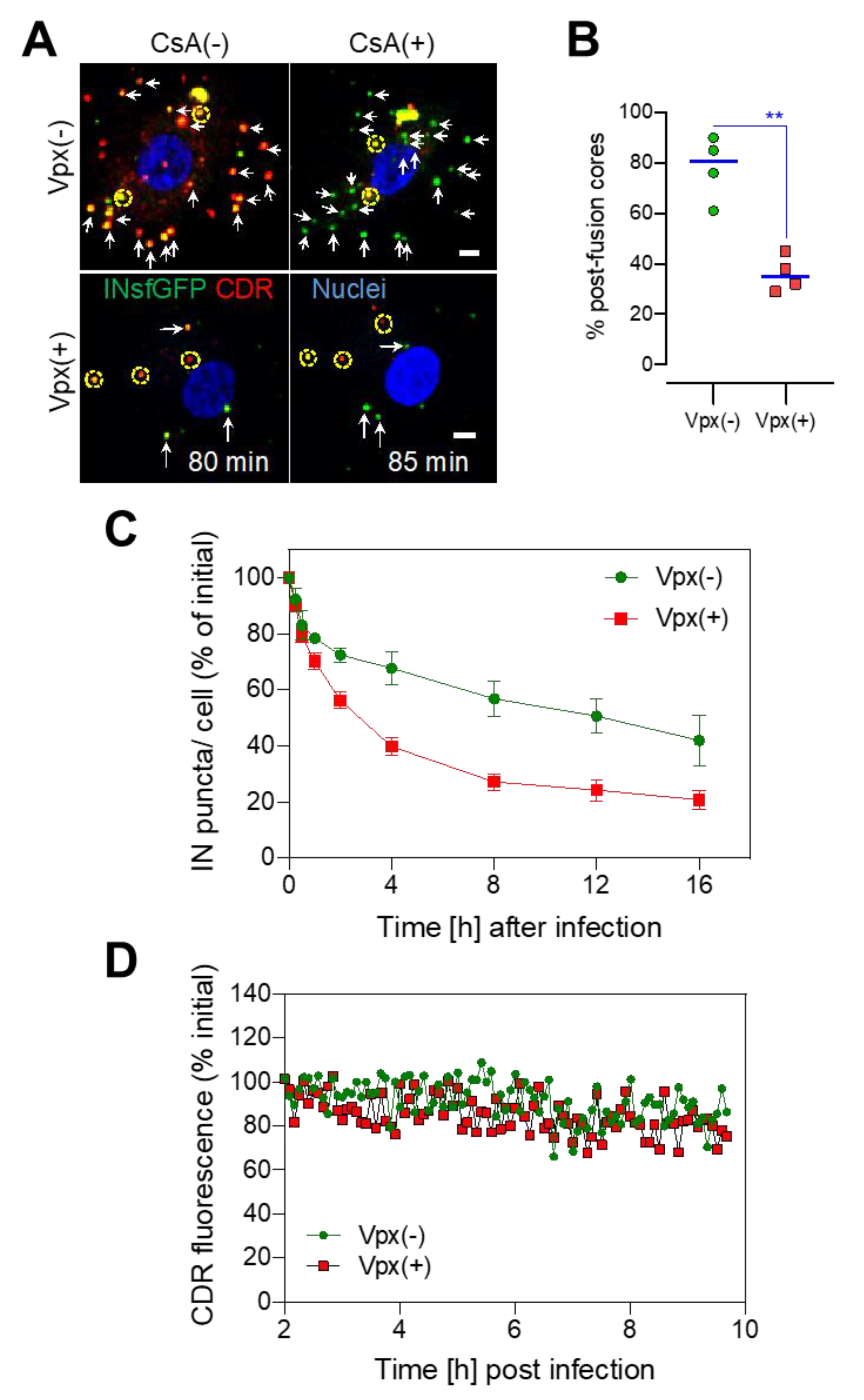Viruses 12 01234 g003 Viruses 12 01234 g003