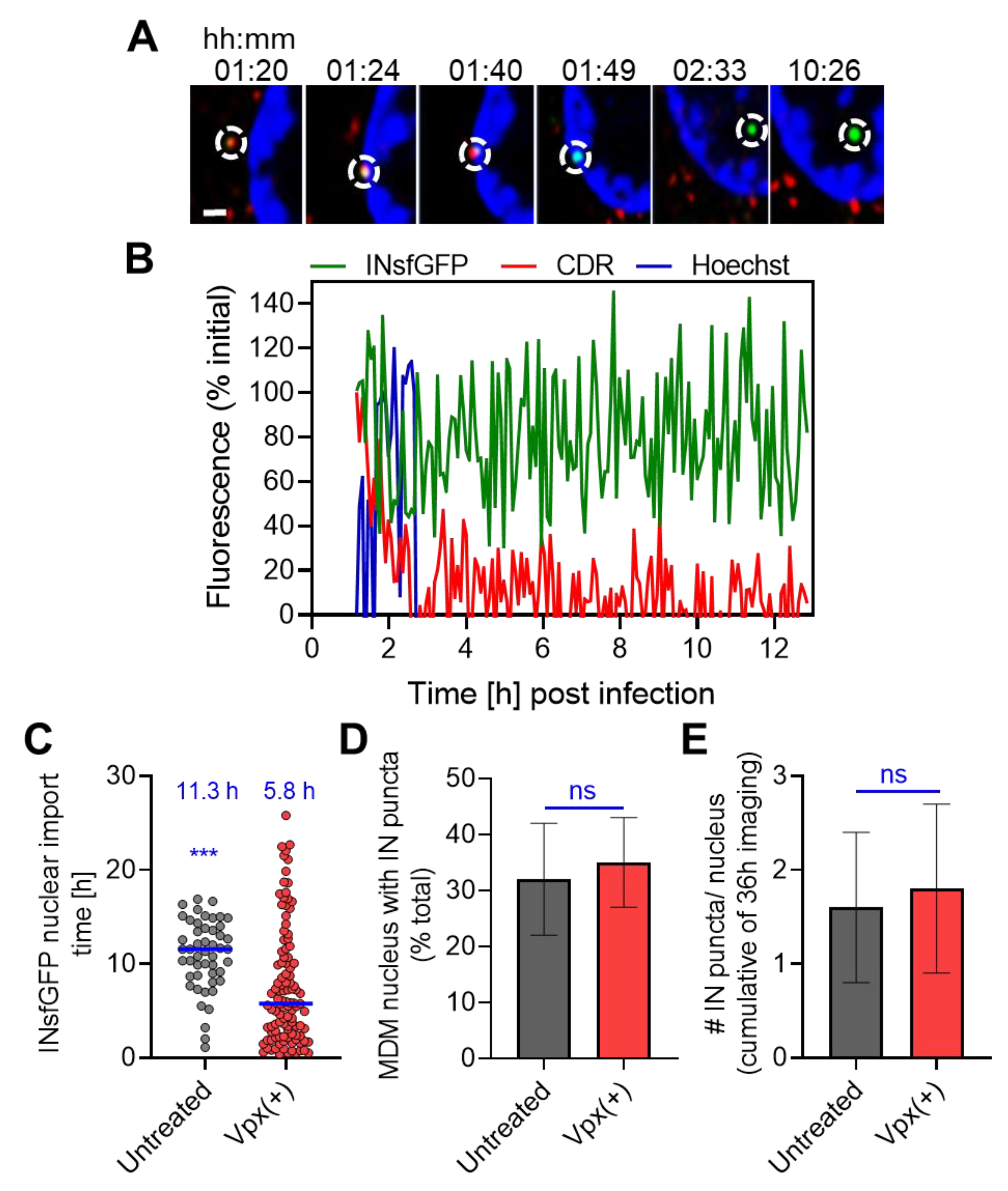 Viruses 12 01234 g004 Viruses 12 01234 g004