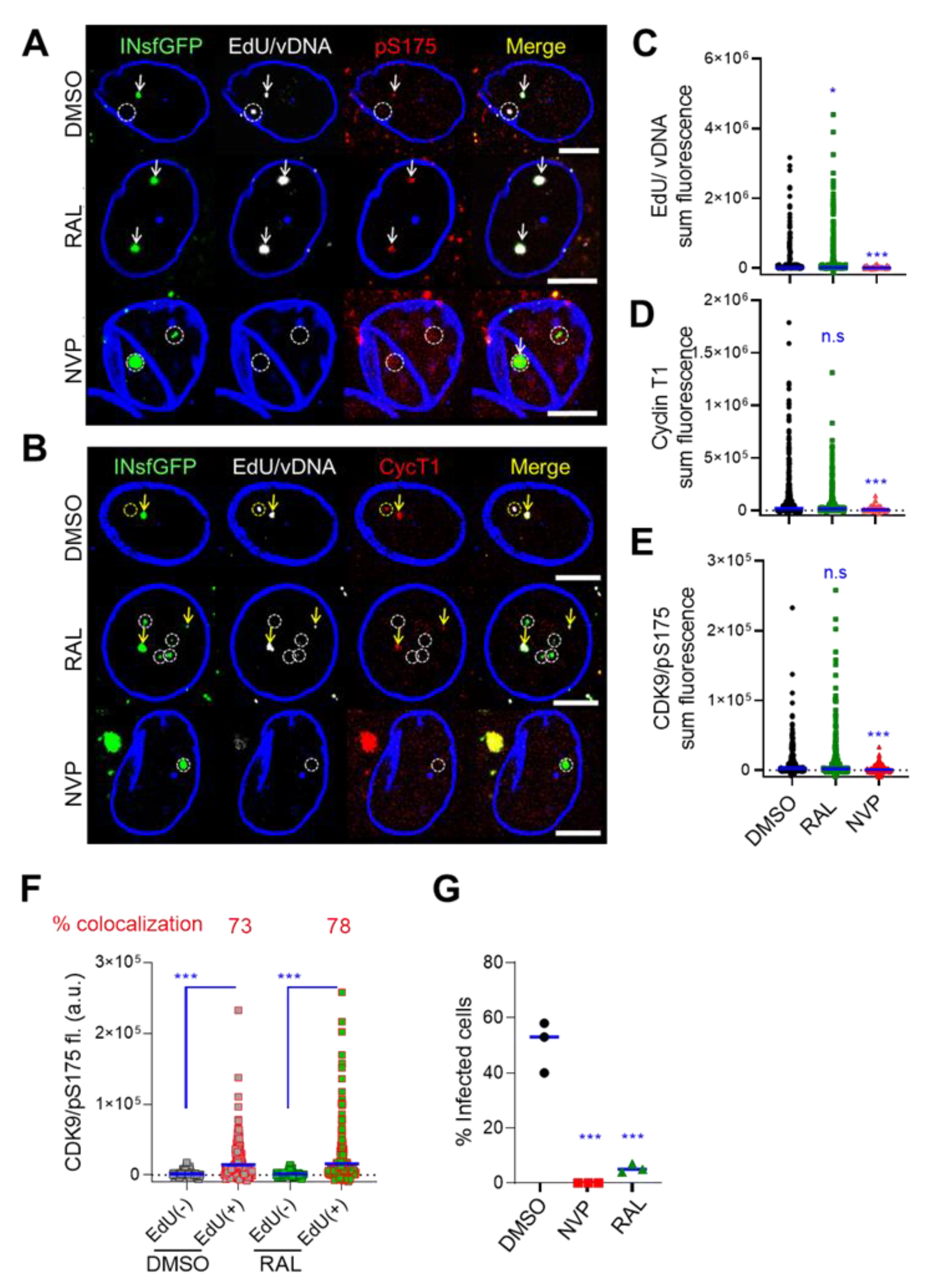 Viruses 12 01234 g006 Viruses 12 01234 g006