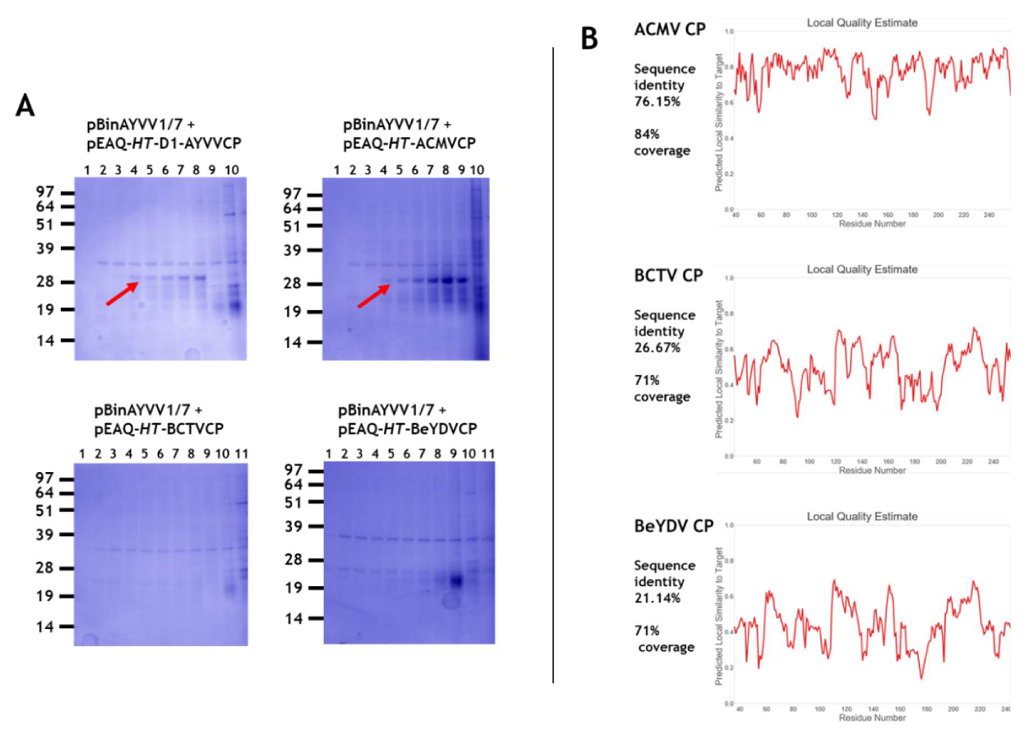 Viruses 12 01235 g002 Viruses 12 01235 g002