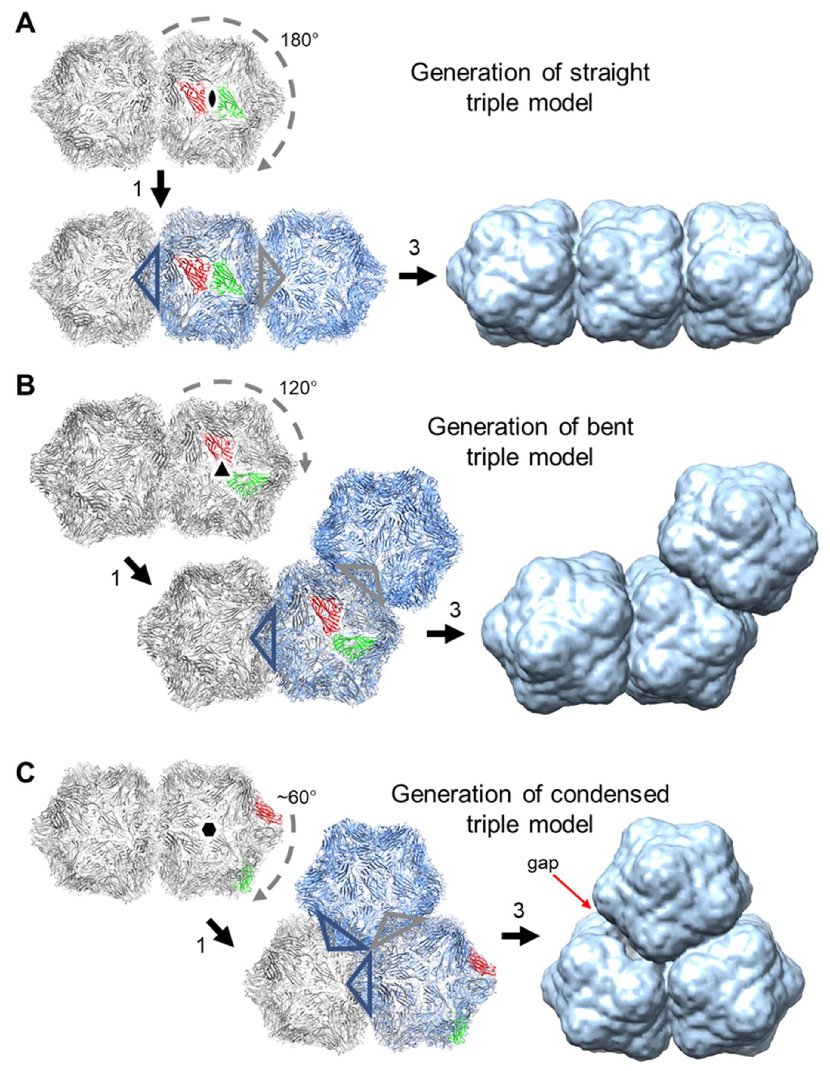 Viruses 12 01235 g008 Viruses 12 01235 g008