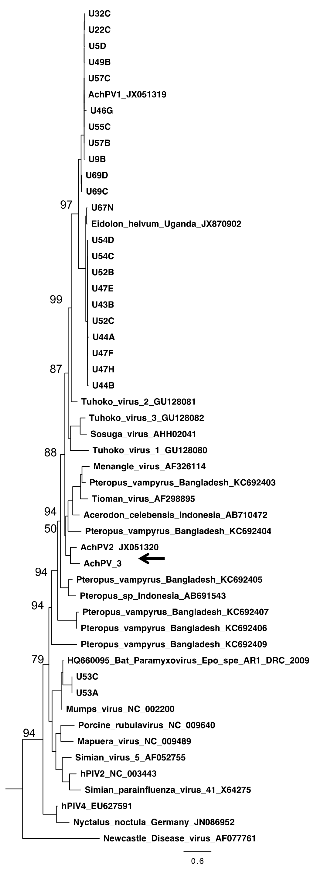 Viruses 12 01236 g002 Viruses 12 01236 g002
