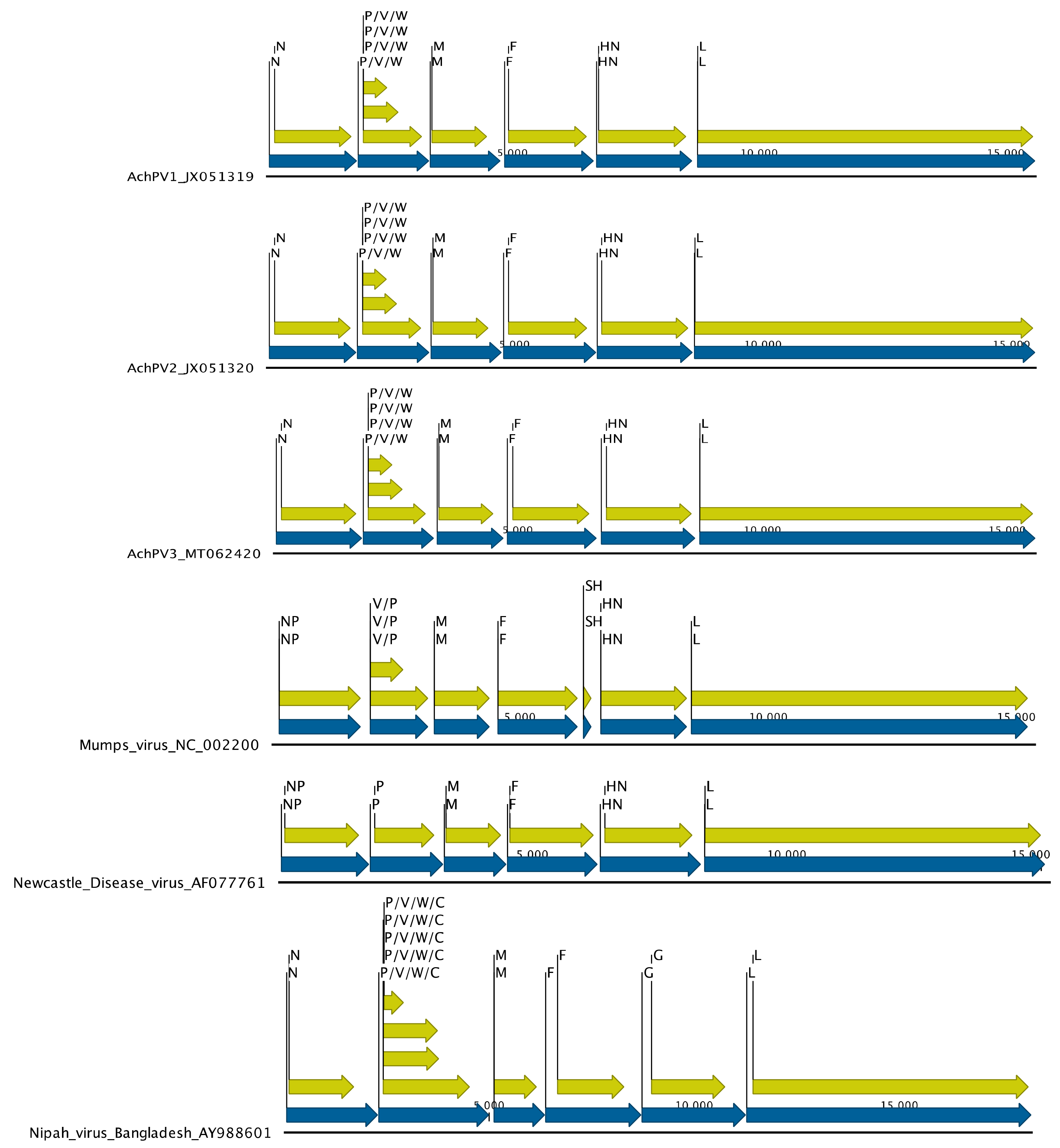 Viruses 12 01236 g003 Viruses 12 01236 g003