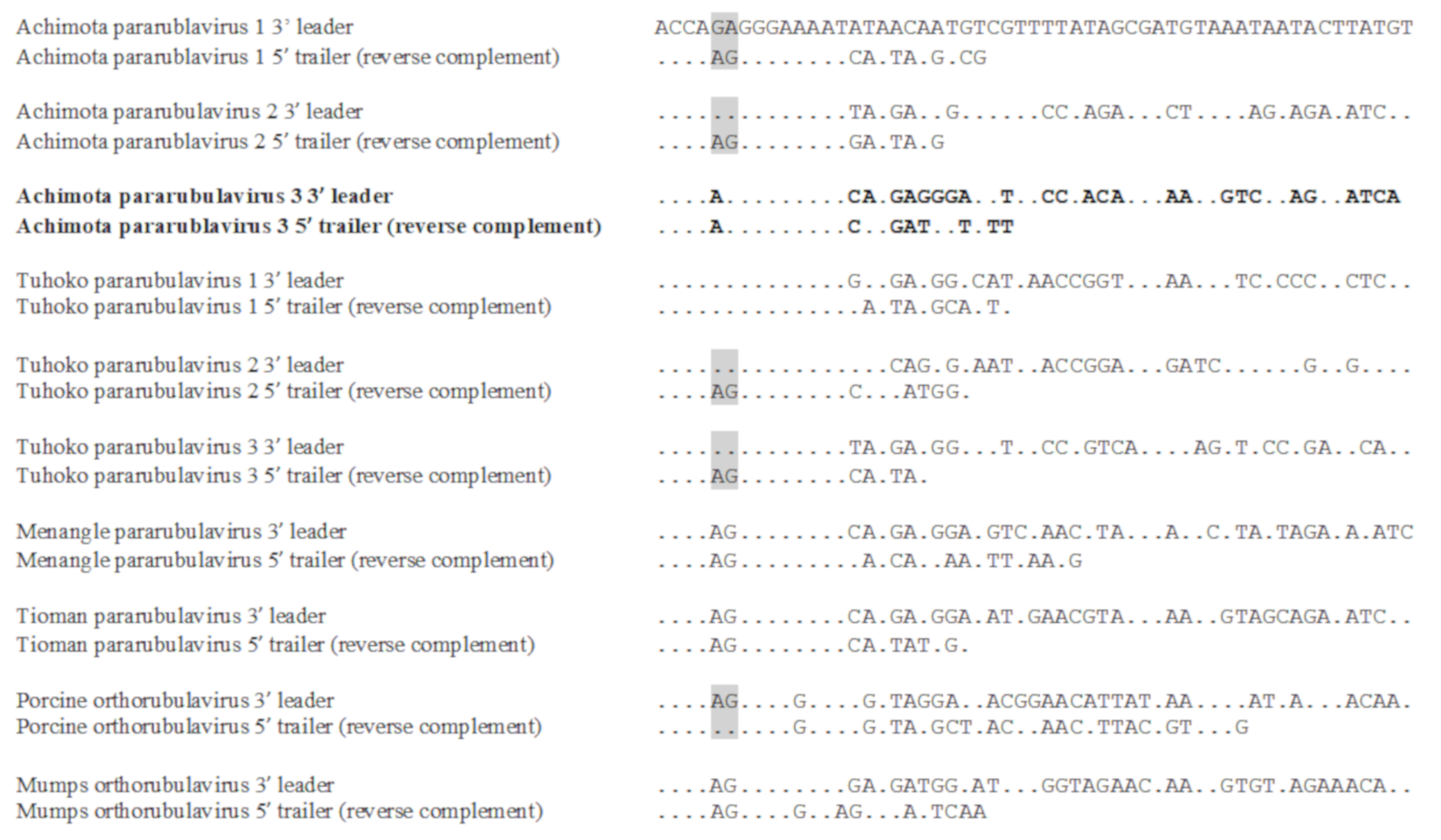 Viruses 12 01236 g004 Viruses 12 01236 g004