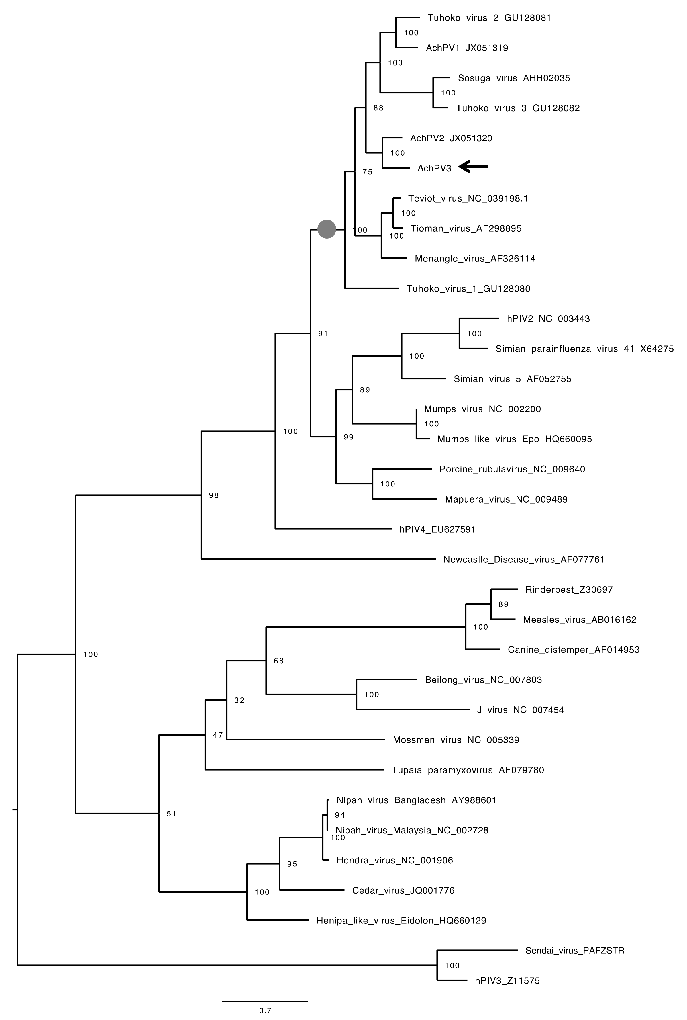 Viruses 12 01236 g005 Viruses 12 01236 g005
