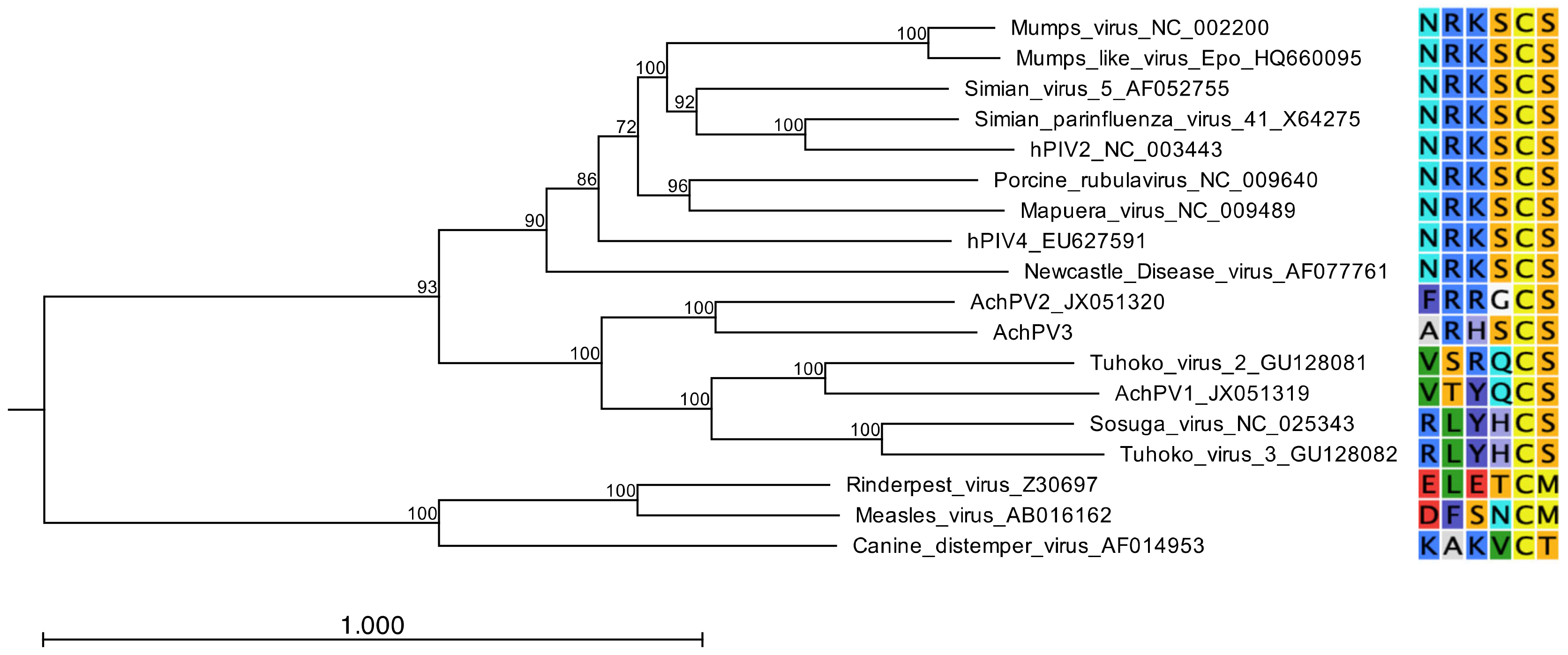 Viruses 12 01236 g006 Viruses 12 01236 g006