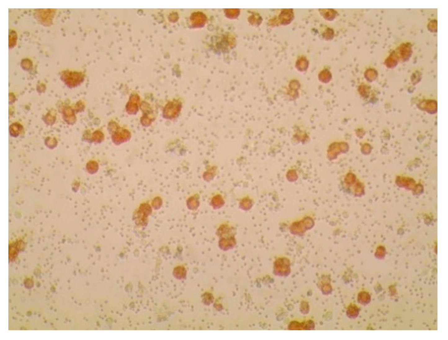 Viruses 12 01237 g001 Viruses 12 01237 g001