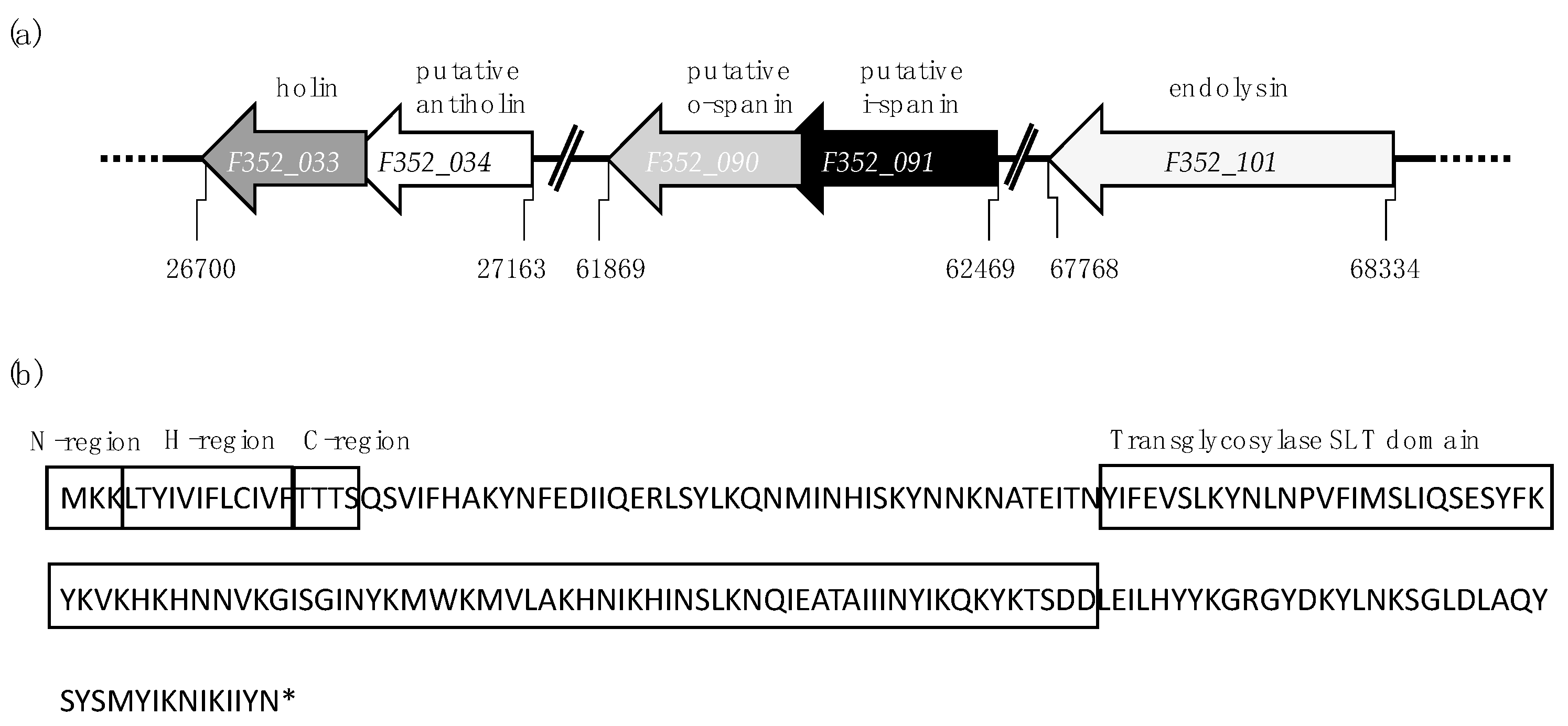 Viruses 12 01247 g001 Viruses 12 01247 g001