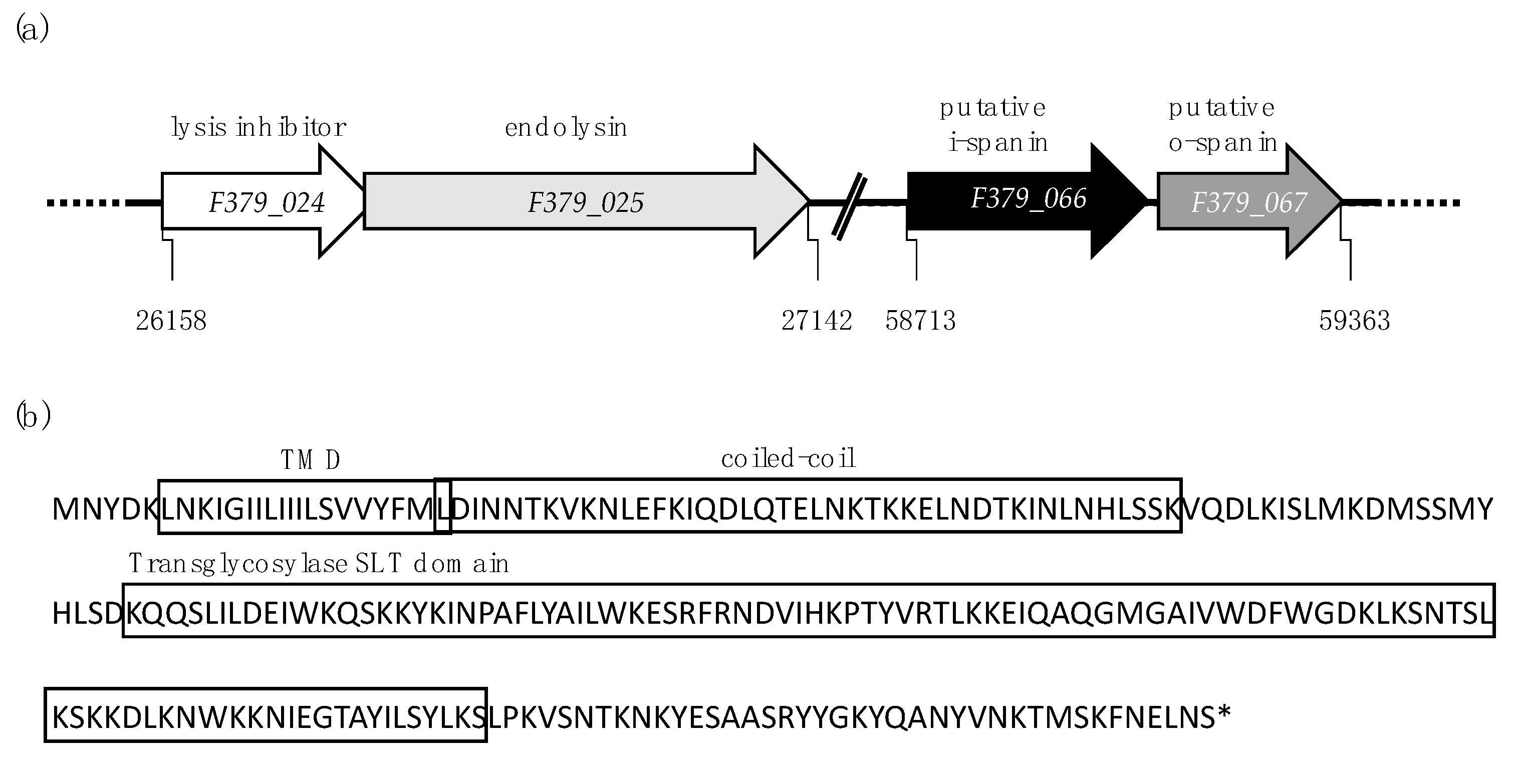 Viruses 12 01247 g002 Viruses 12 01247 g002