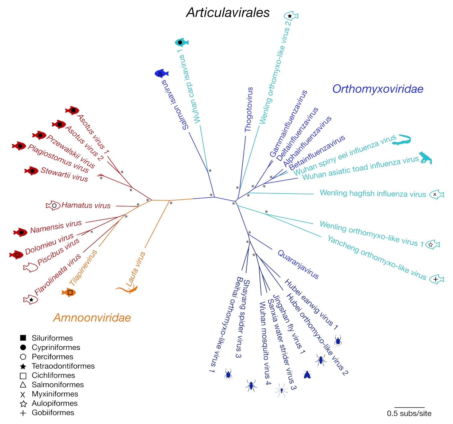 Viruses 12 01254 g002 Viruses 12 01254 g002