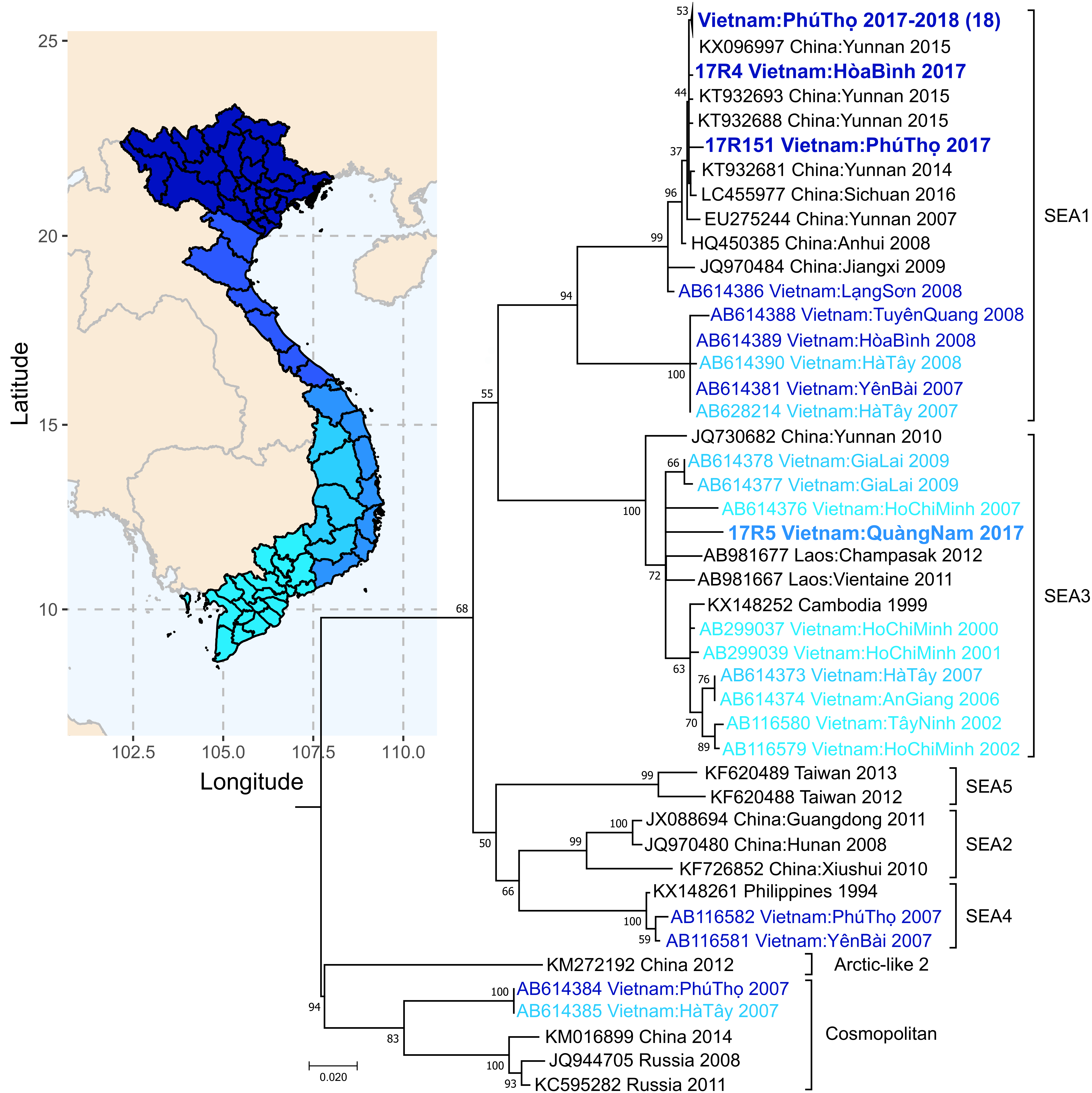 Viruses 12 01255 g005