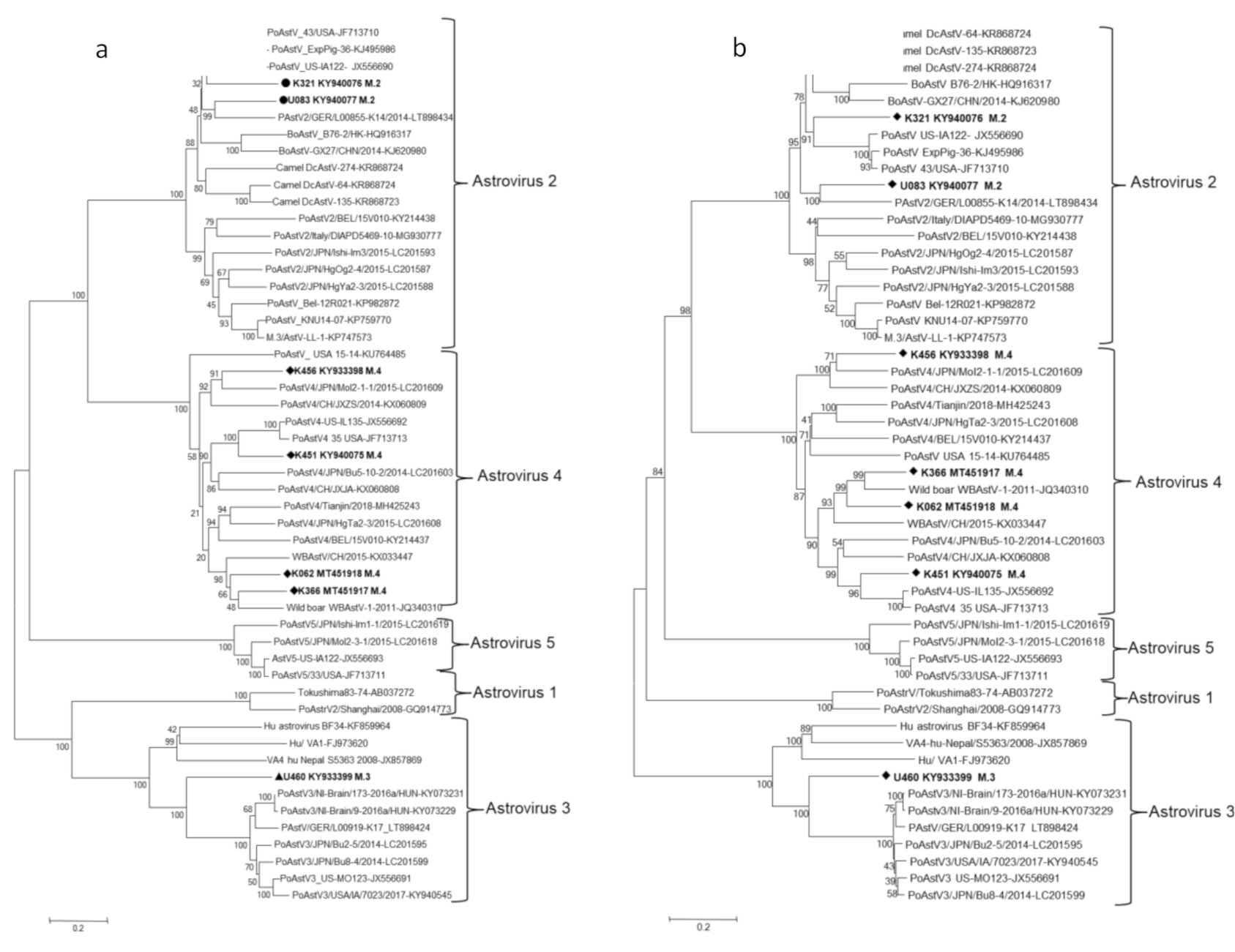 Viruses 12 01262 g002