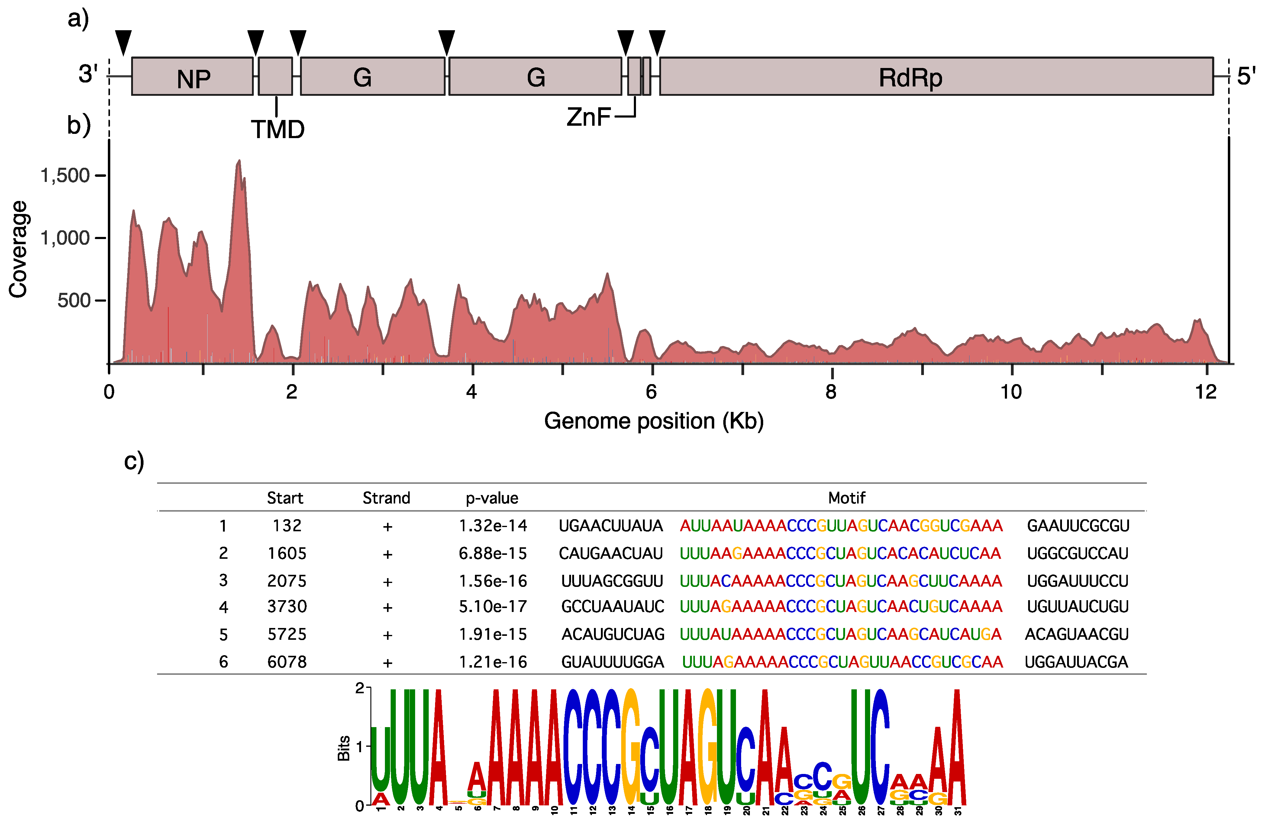 Viruses 12 01264 g001 Viruses 12 01264 g001
