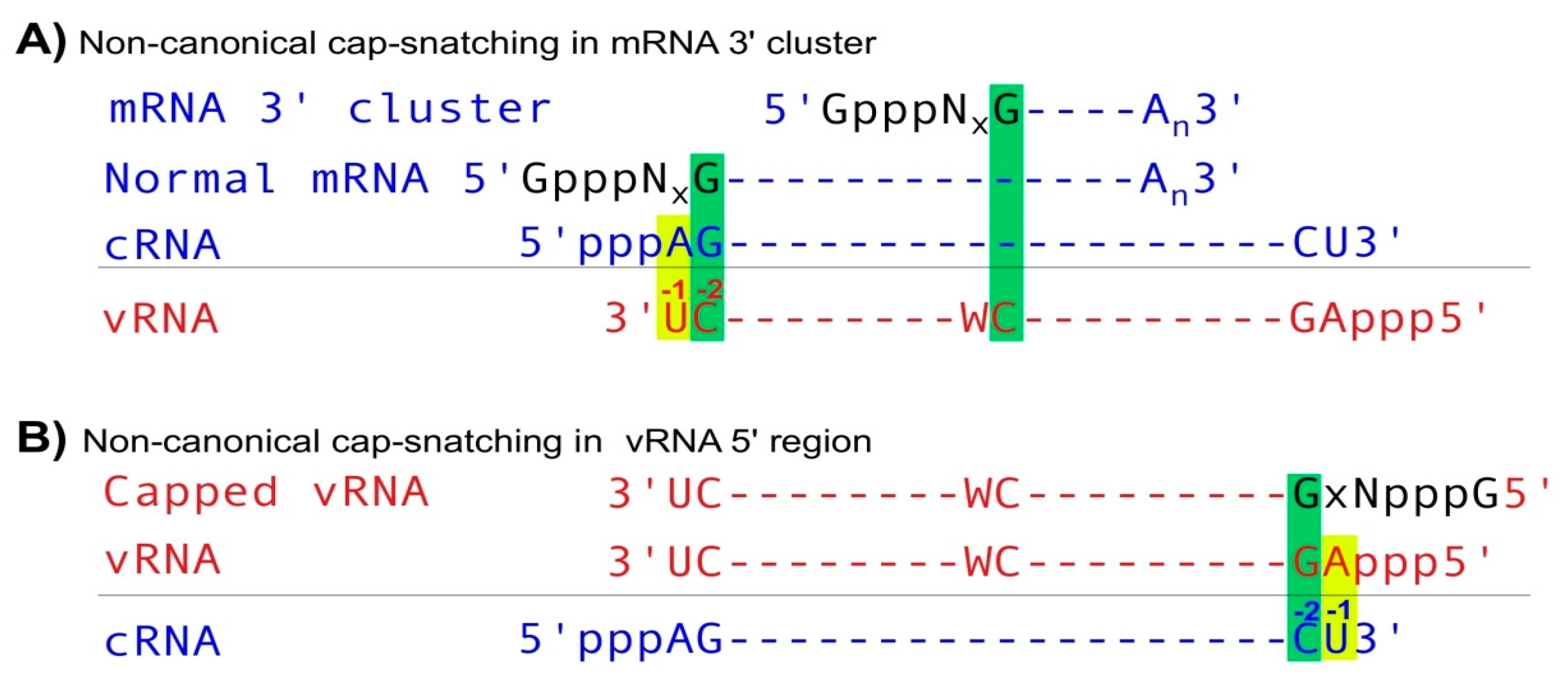Viruses 12 01271 g002 Viruses 12 01271 g002