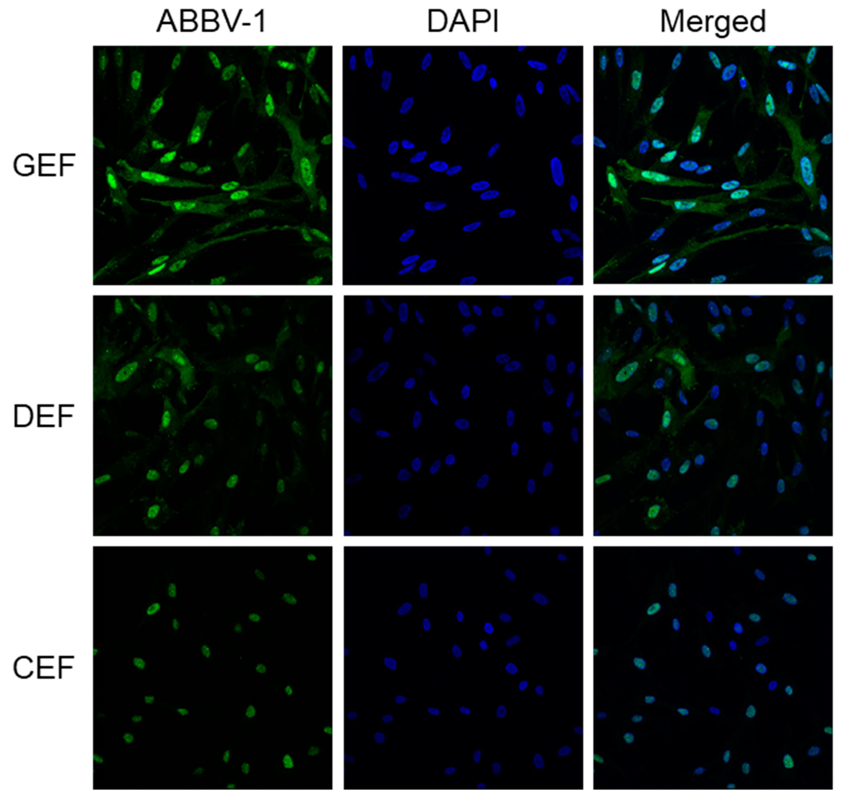 Viruses 12 01272 g003