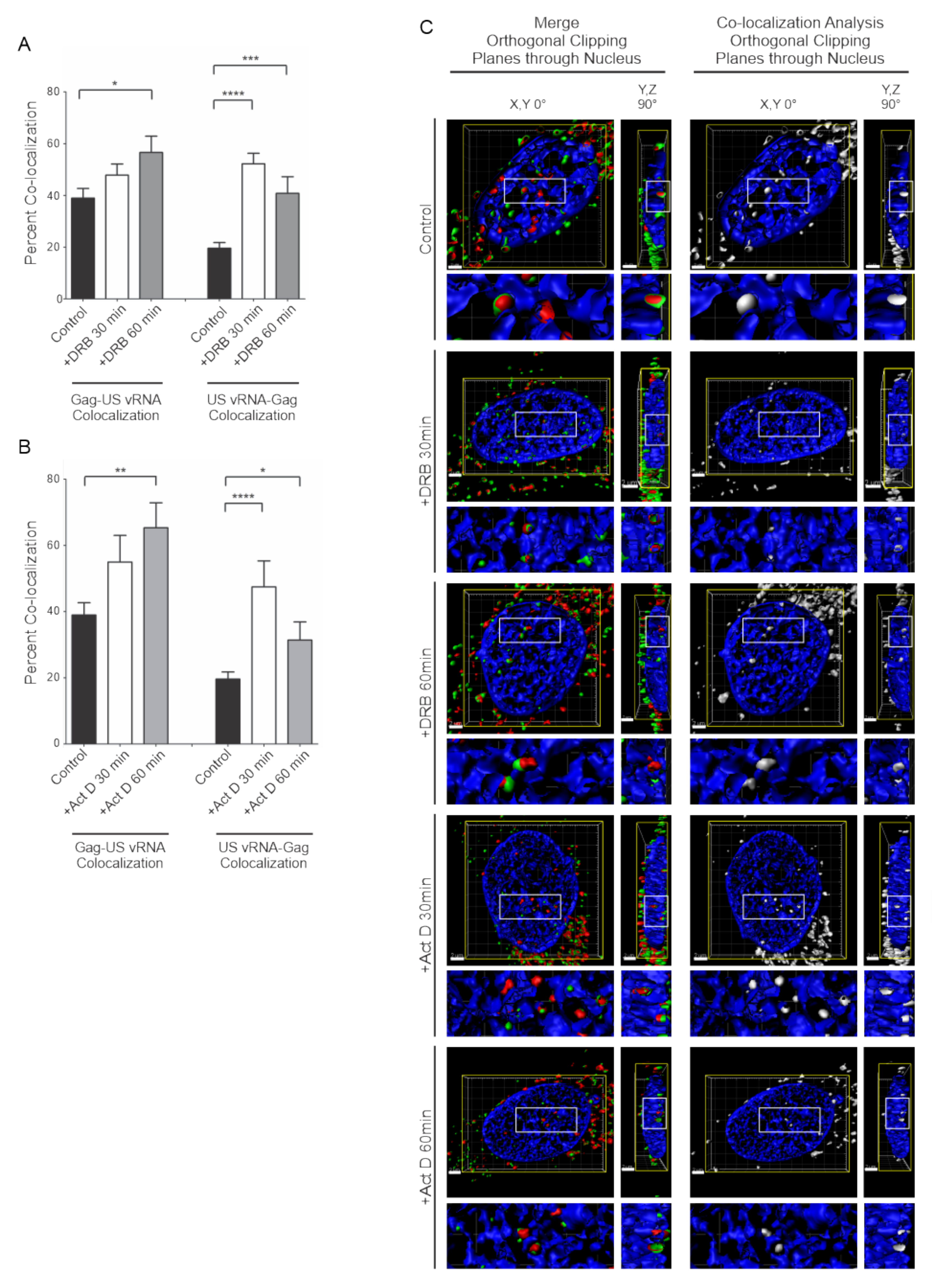 Viruses 12 01281 g005 Viruses 12 01281 g005
