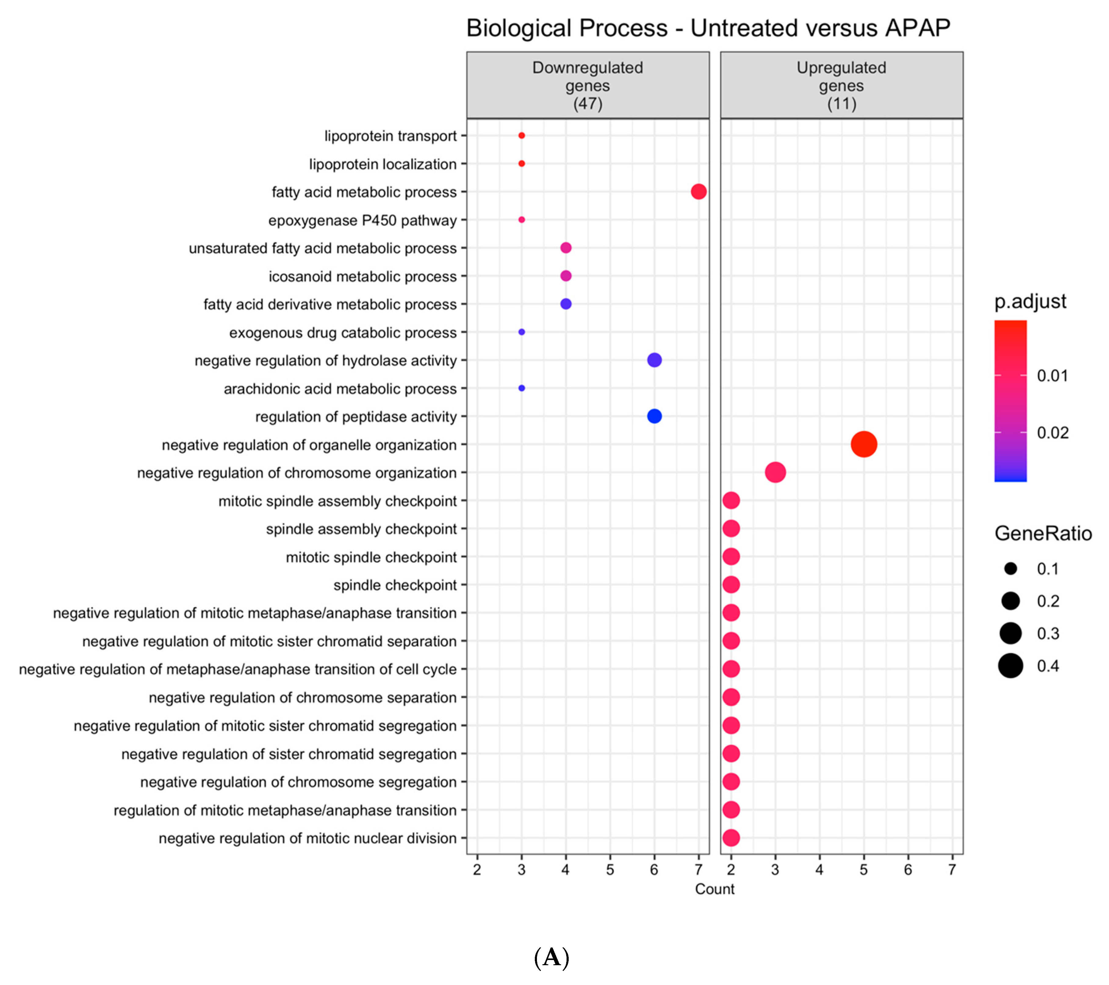 Viruses 12 01284 g001a Viruses 12 01284 g001a
