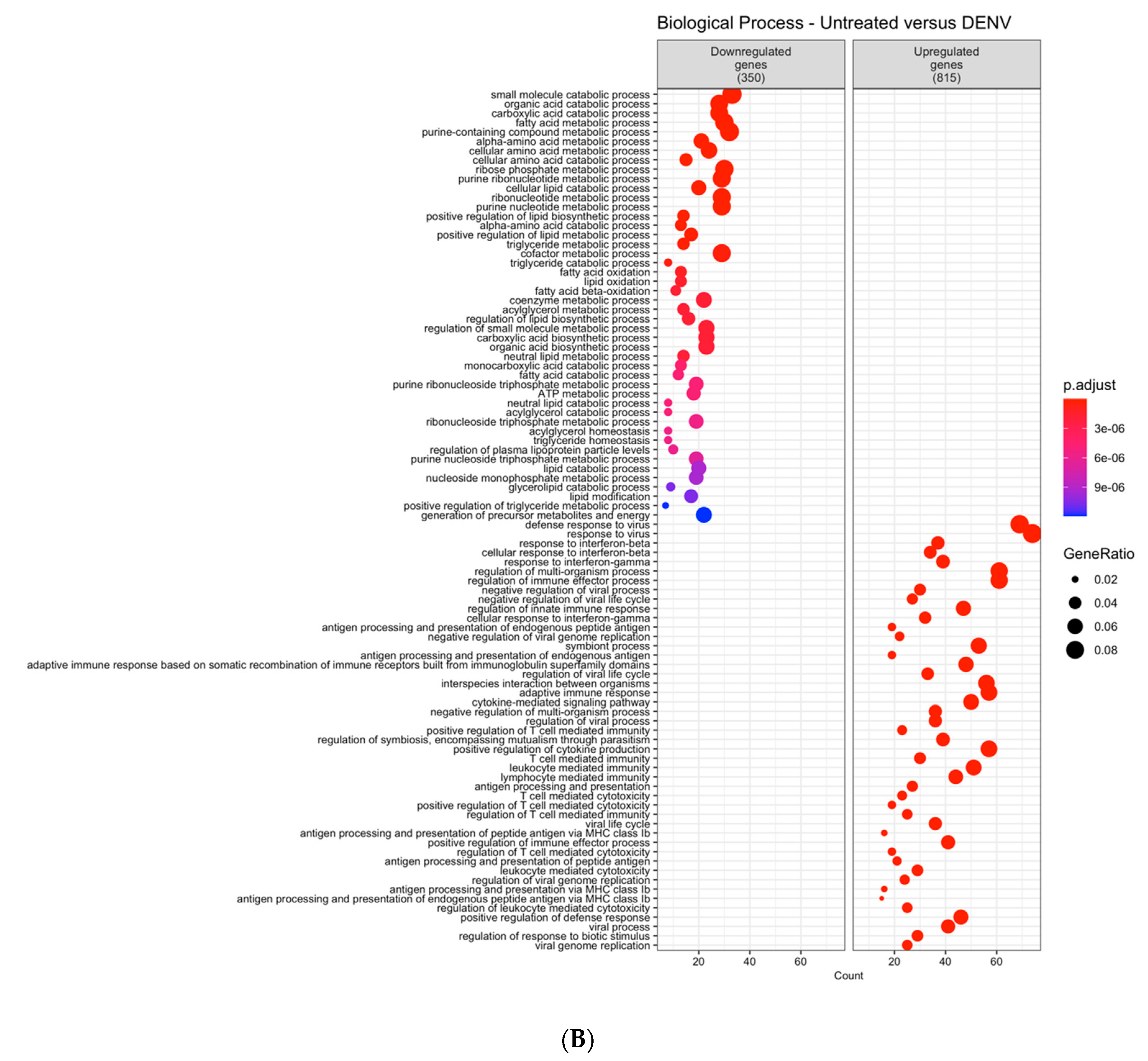 Viruses 12 01284 g001b Viruses 12 01284 g001b