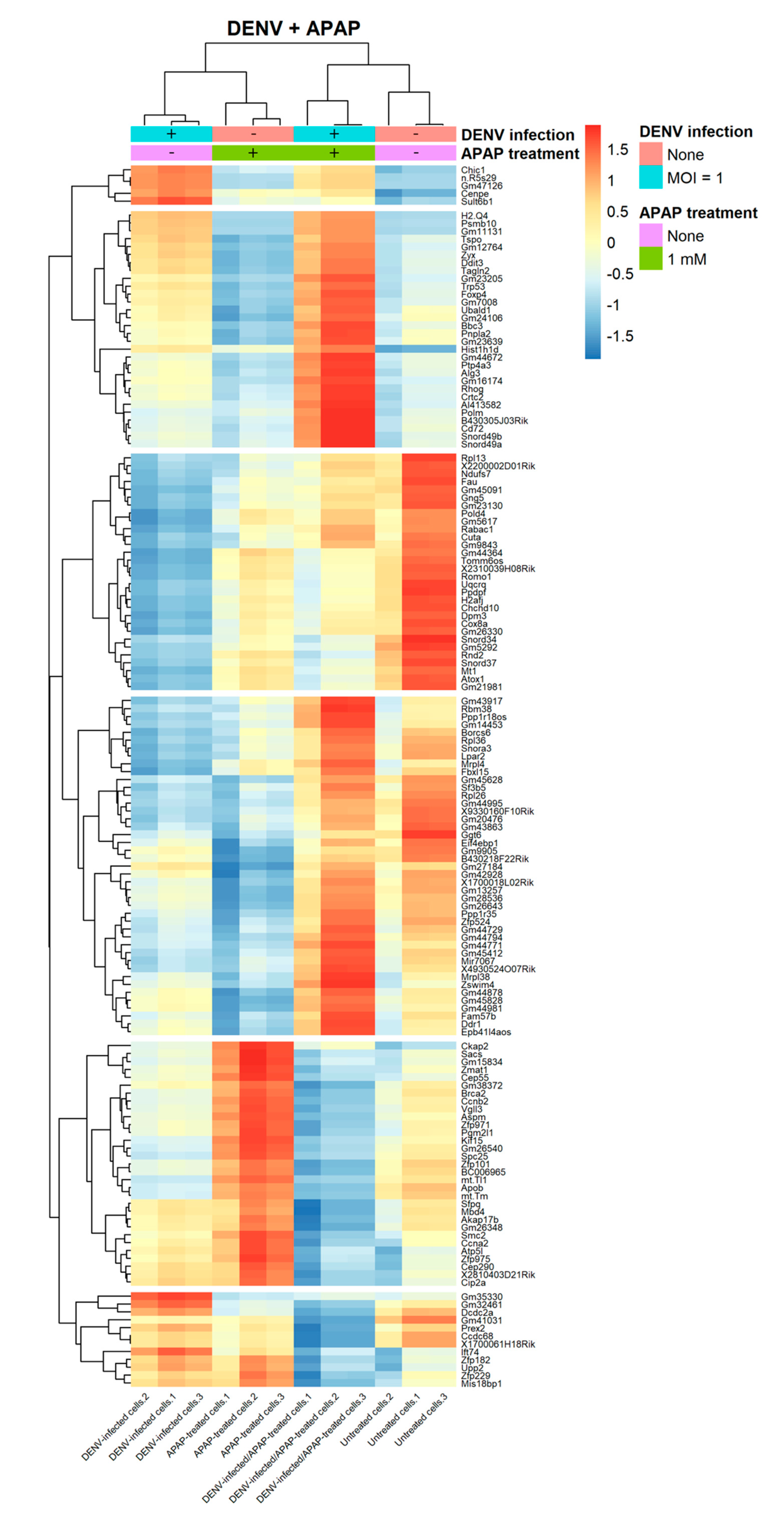 Viruses 12 01284 g002 Viruses 12 01284 g002