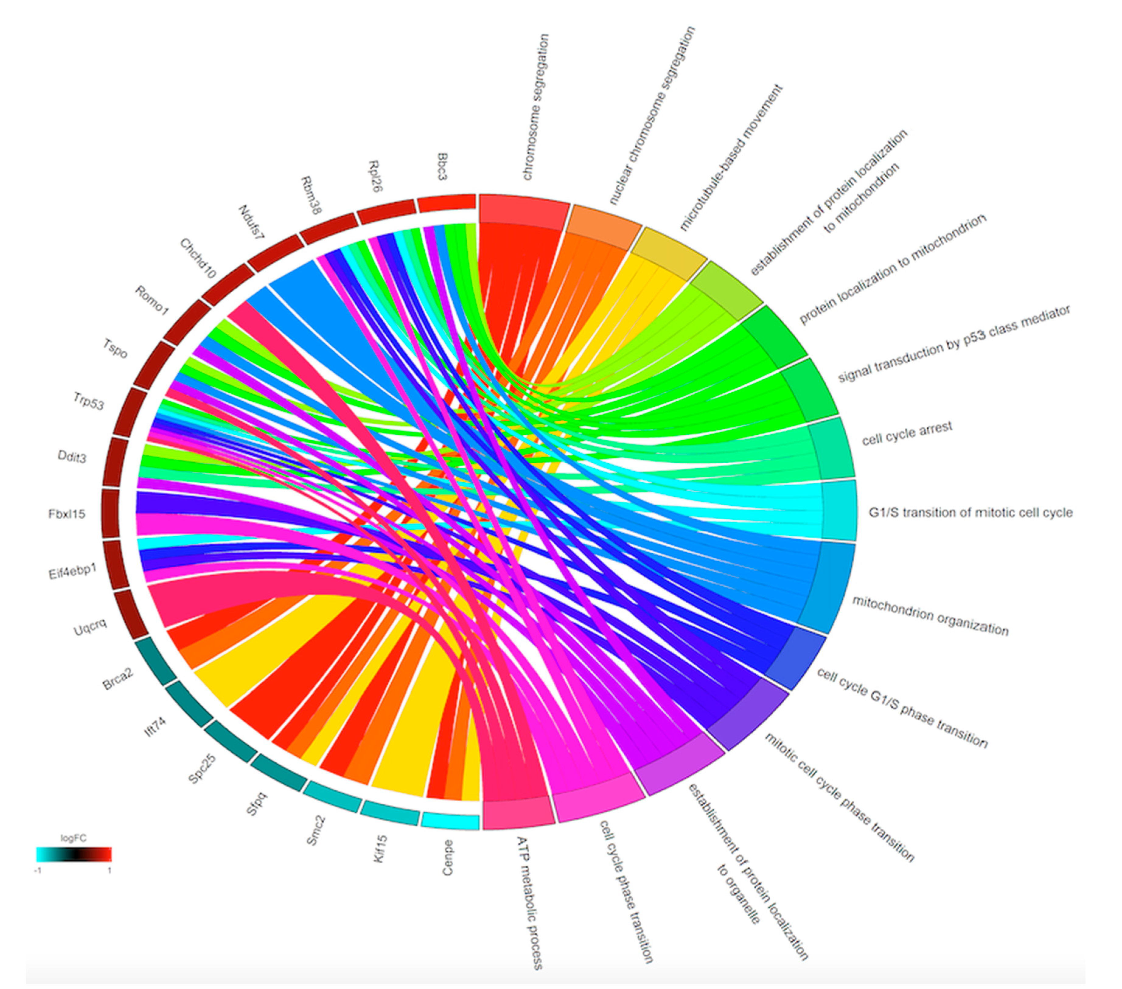 Viruses 12 01284 g003 Viruses 12 01284 g003