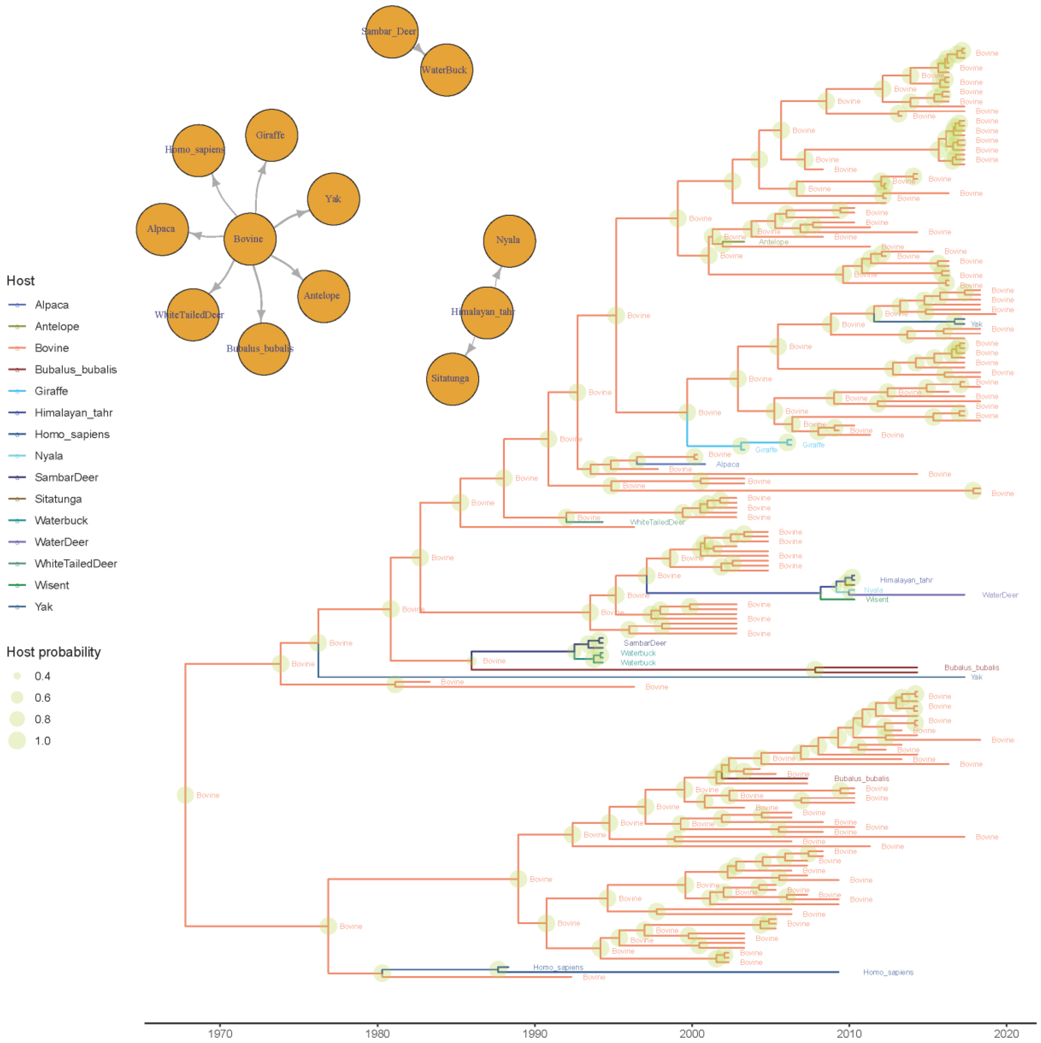 Viruses 12 01285 g006