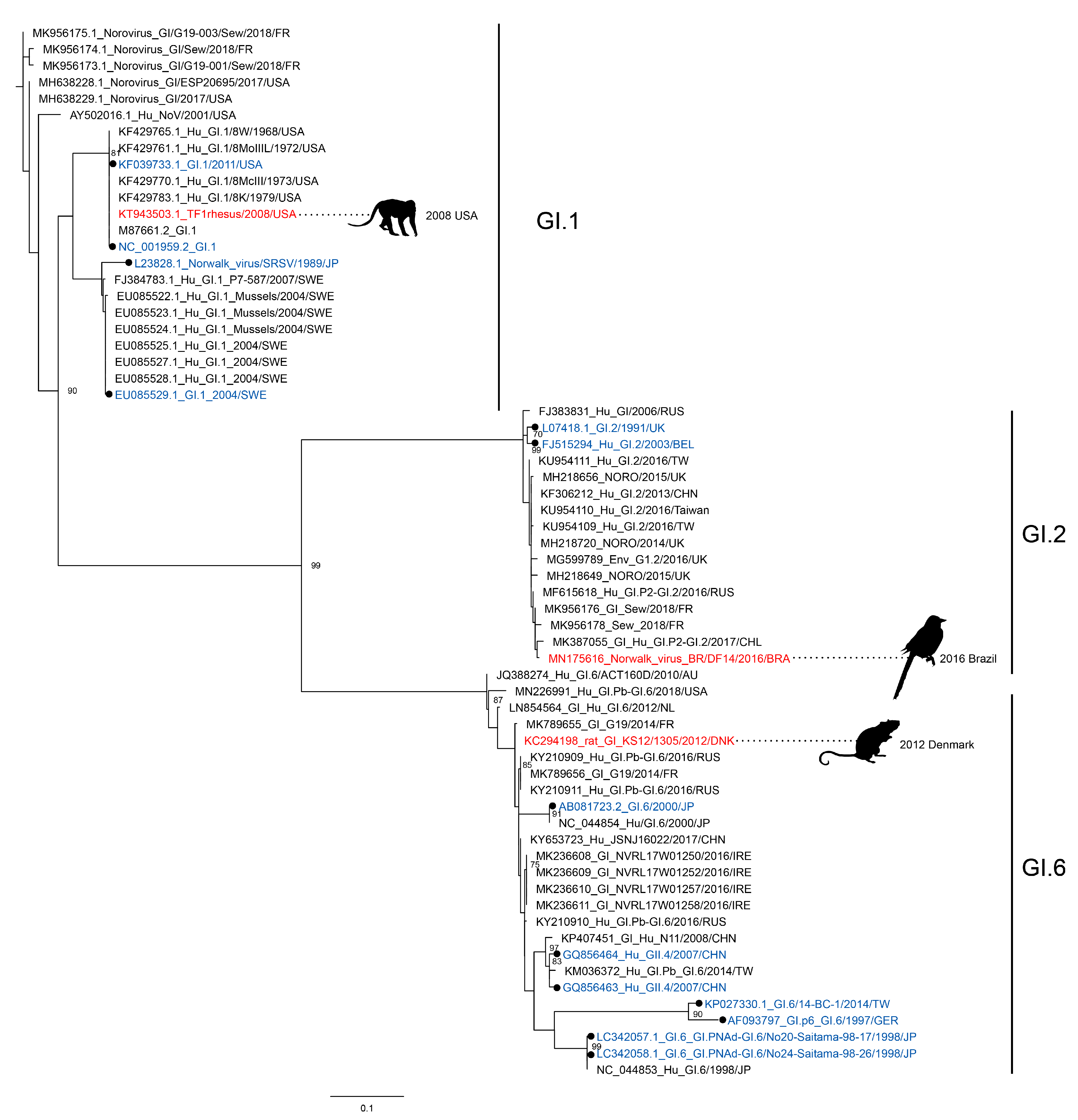 Viruses 12 01287 g003