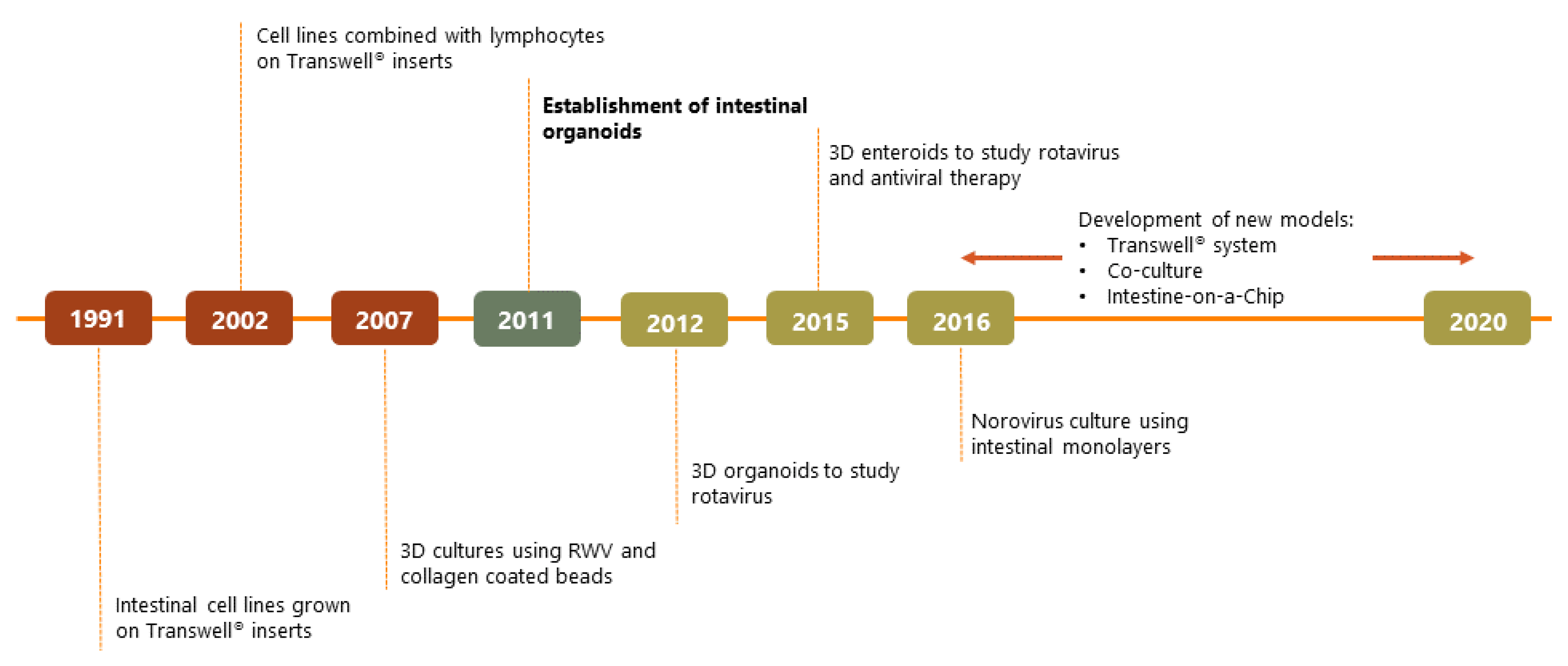 Viruses 12 01288 g001 Viruses 12 01288 g001