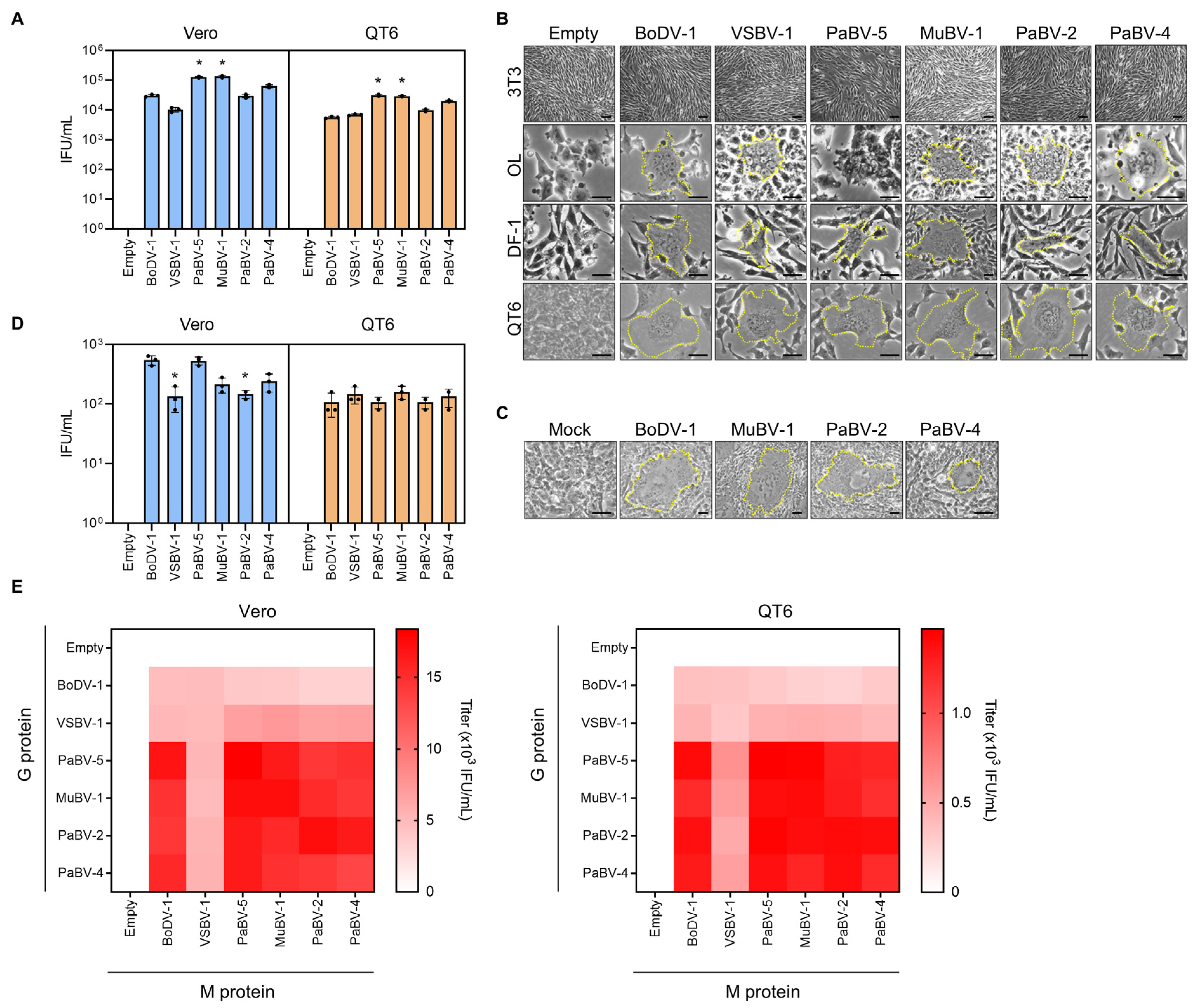Viruses 12 01291 g002 Viruses 12 01291 g002