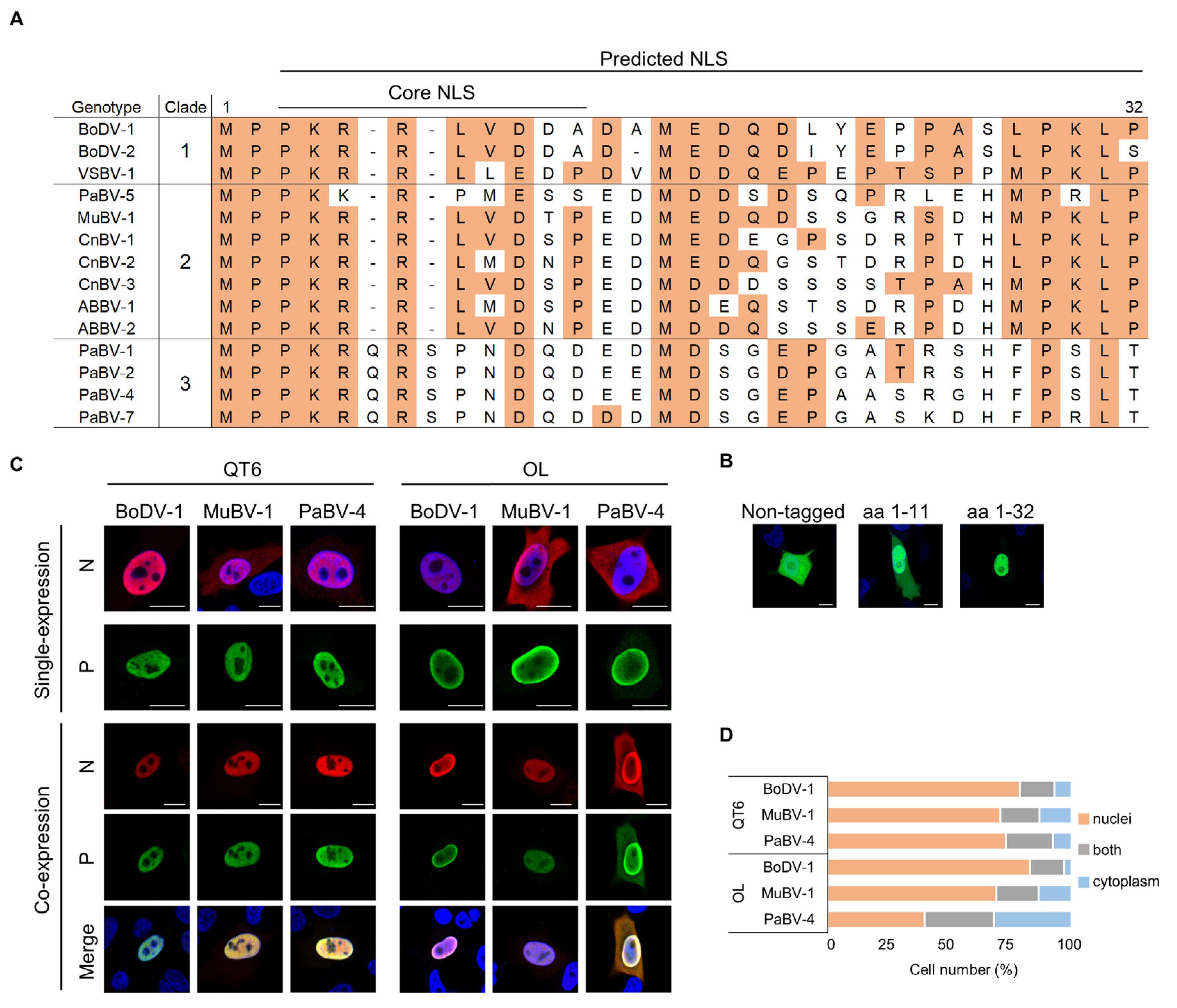 Viruses 12 01291 g004 Viruses 12 01291 g004