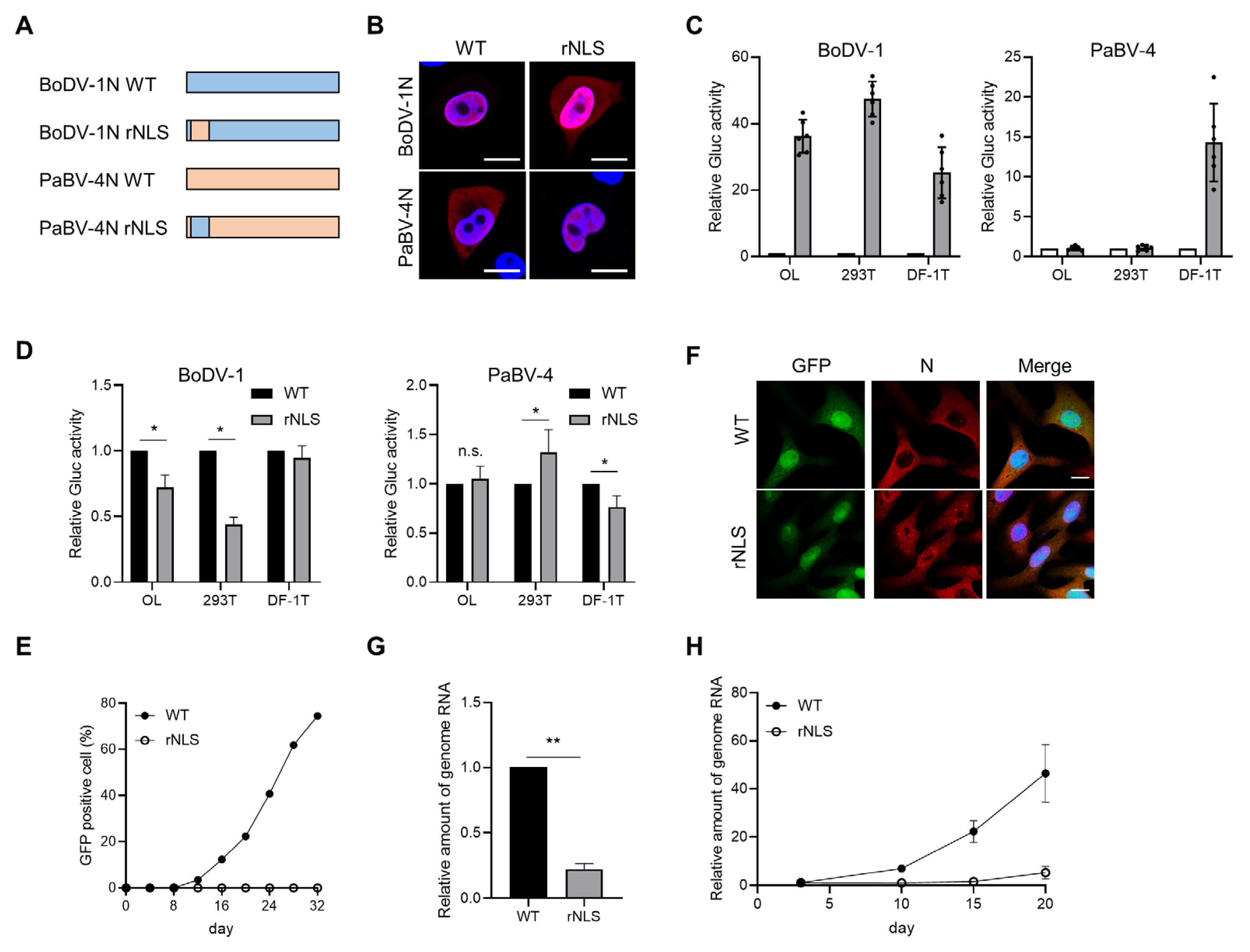 Viruses 12 01291 g005 Viruses 12 01291 g005