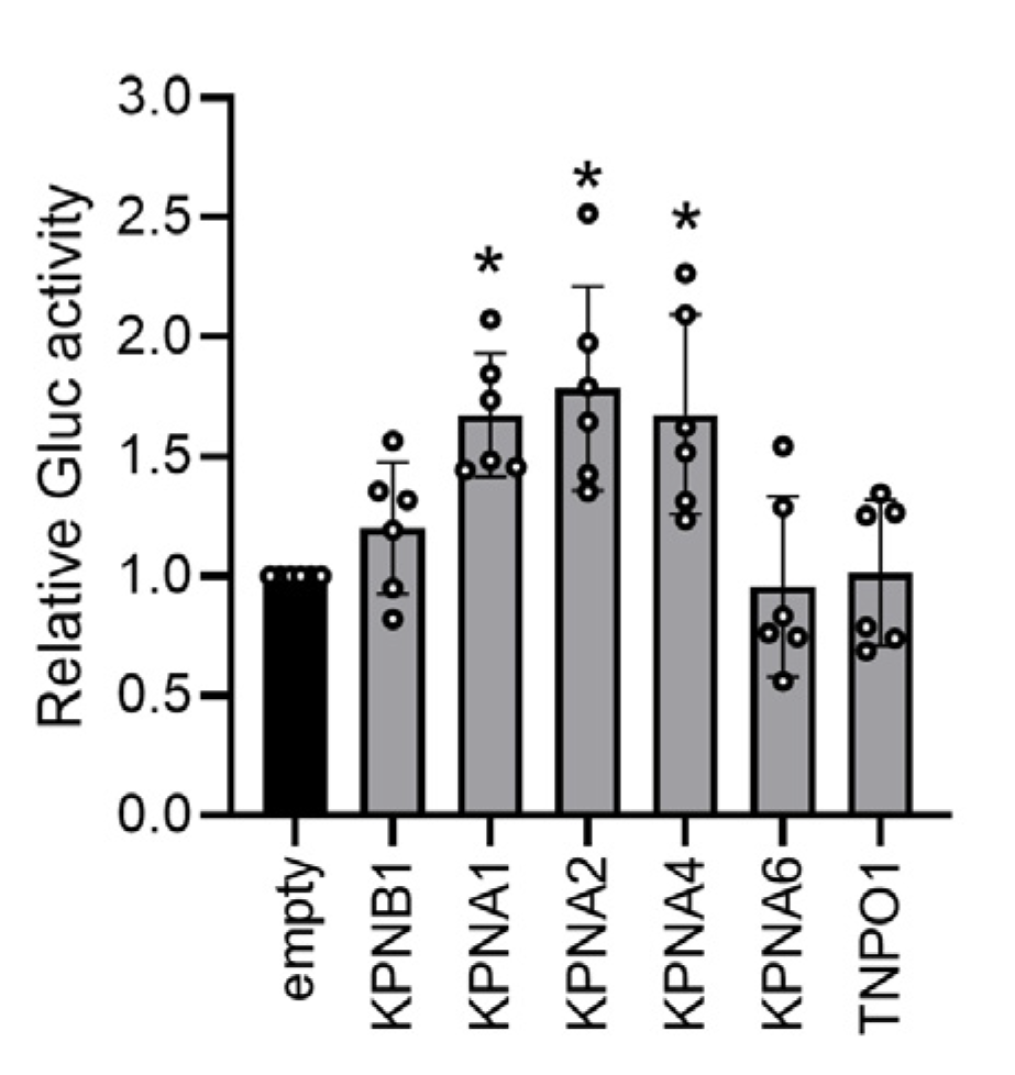 Viruses 12 01291 g006 Viruses 12 01291 g006