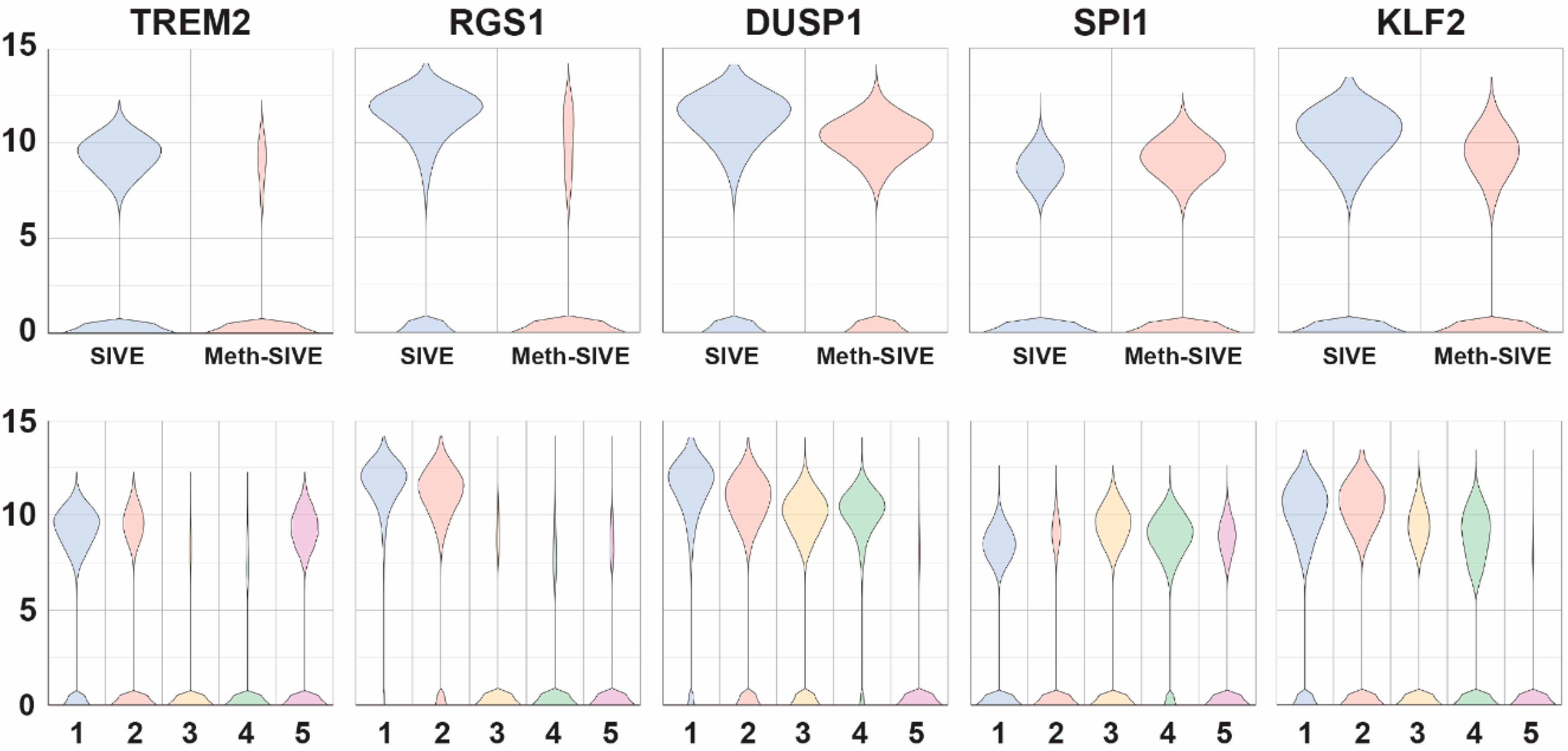 Viruses 12 01297 g007 Viruses 12 01297 g007
