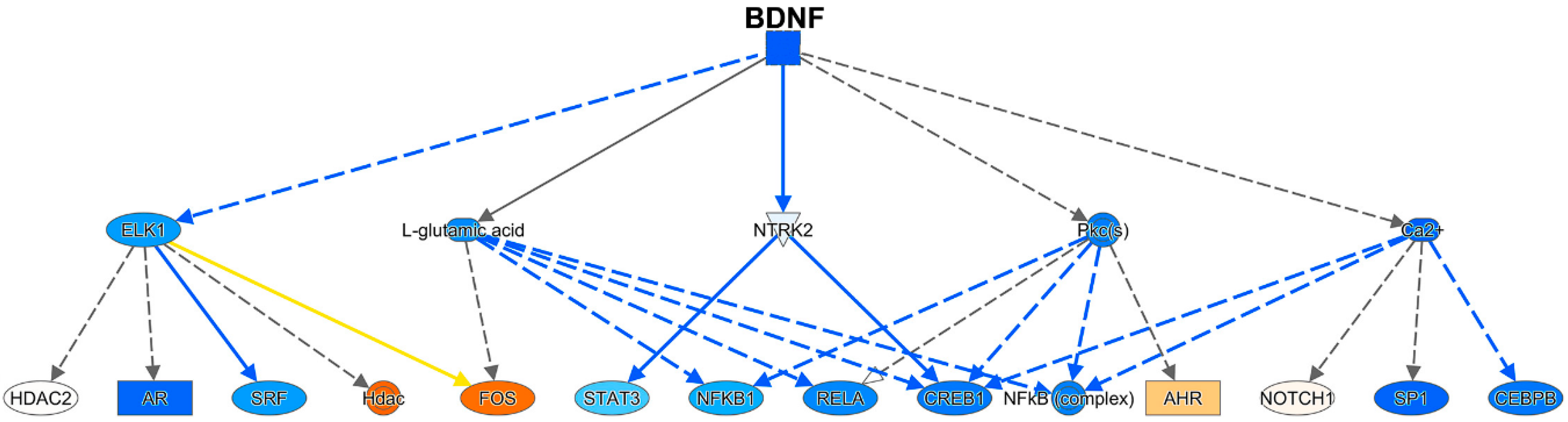 Viruses 12 01297 g008 Viruses 12 01297 g008