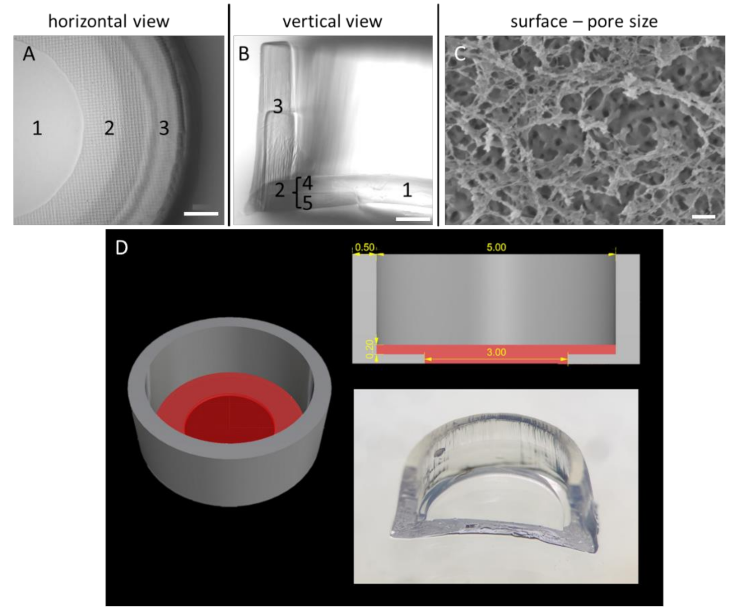 Viruses 12 01298 g001 Viruses 12 01298 g001