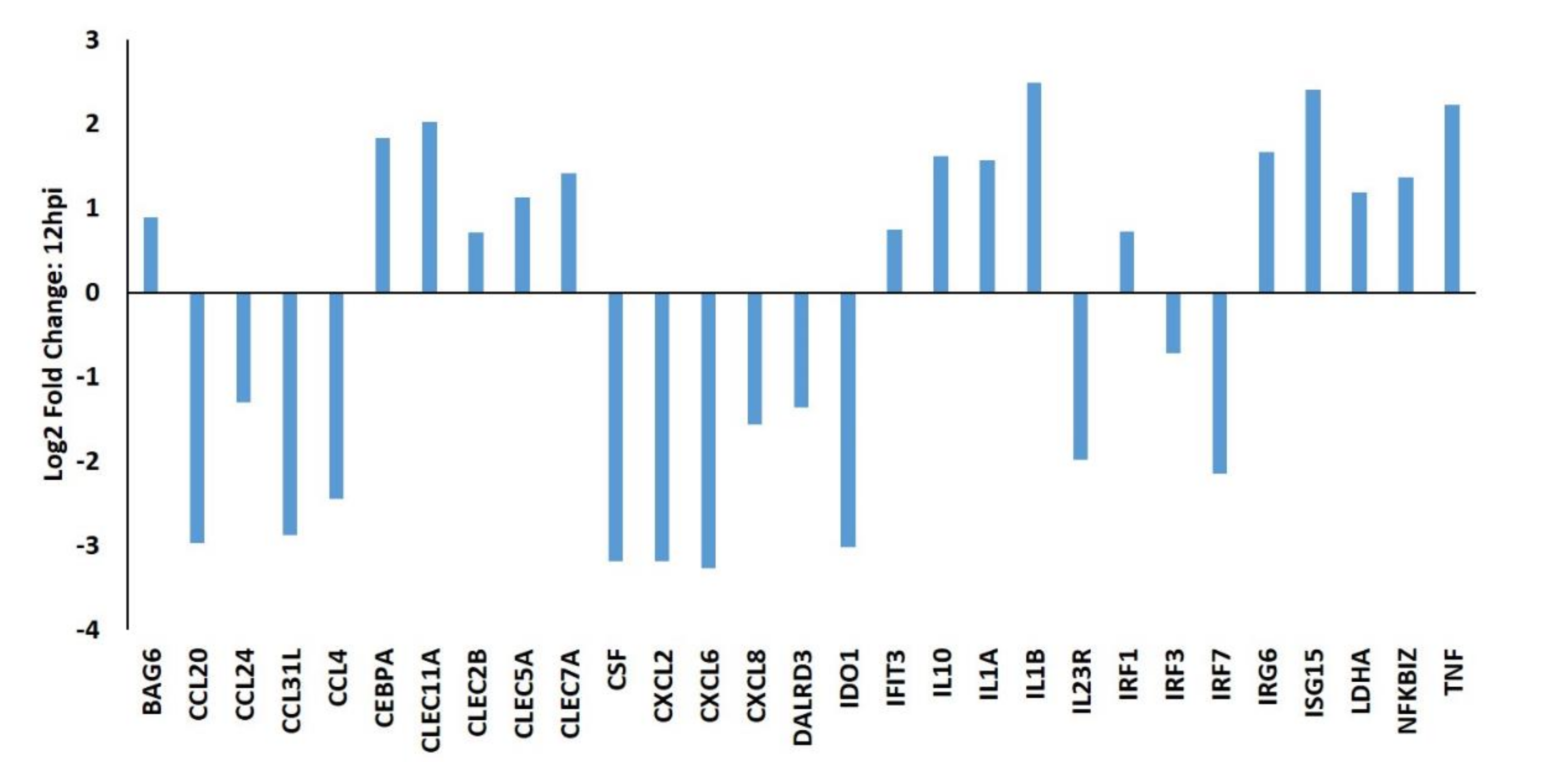Viruses 12 01299 g001