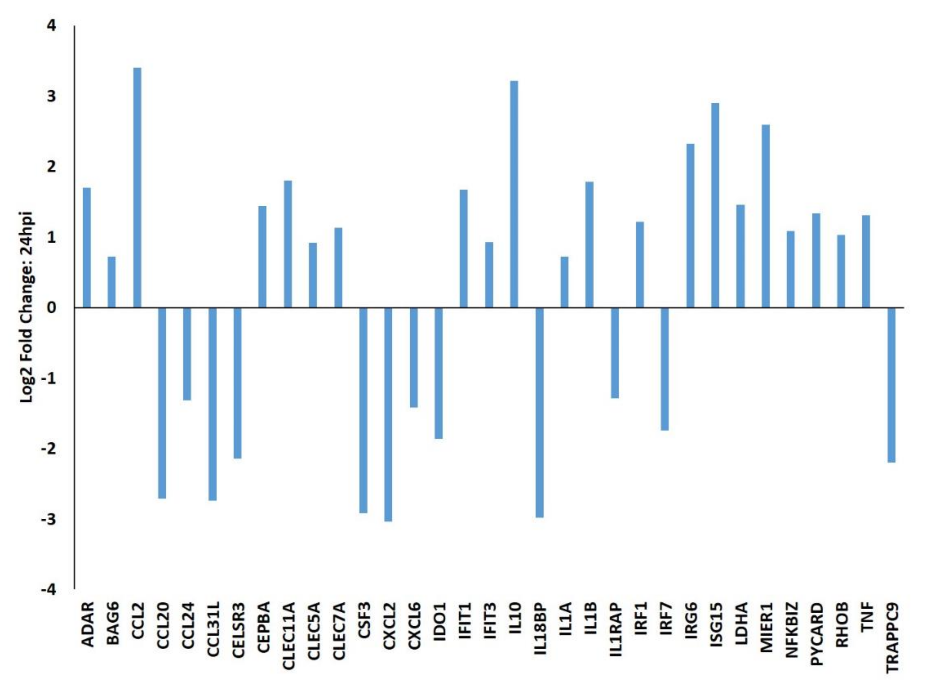Viruses 12 01299 g002