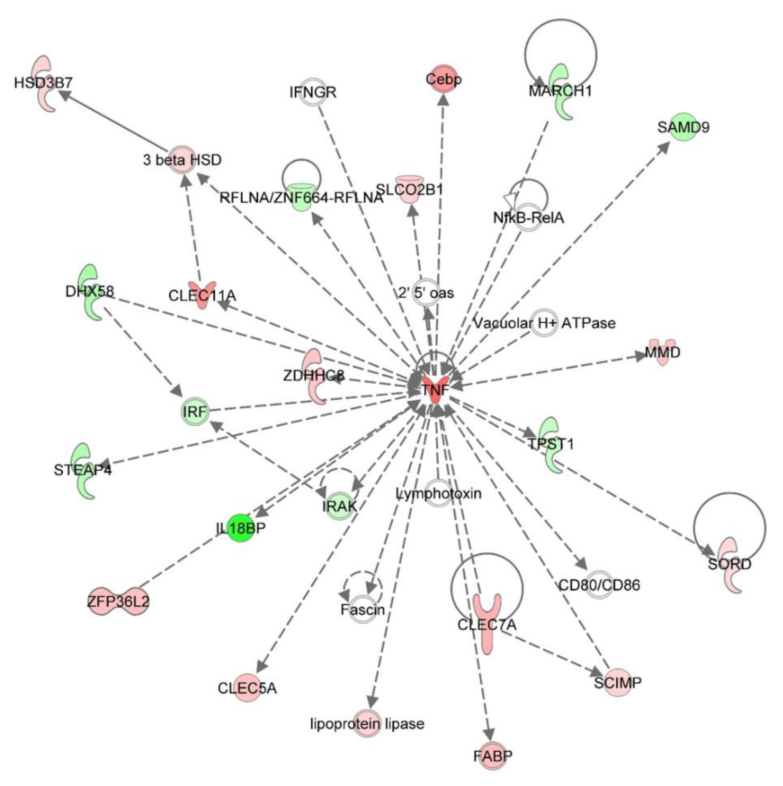 Viruses 12 01299 g004