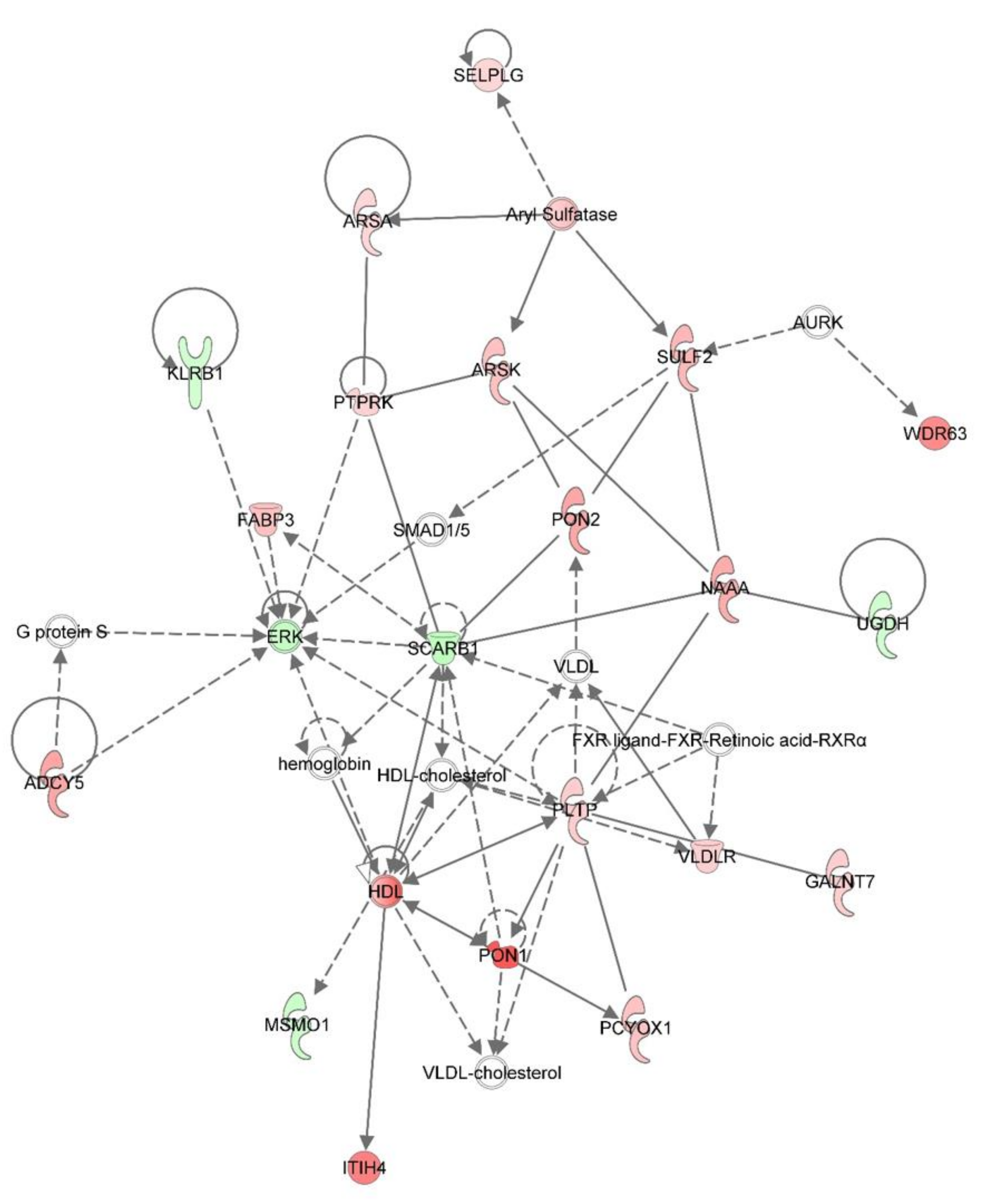 Viruses 12 01299 g005