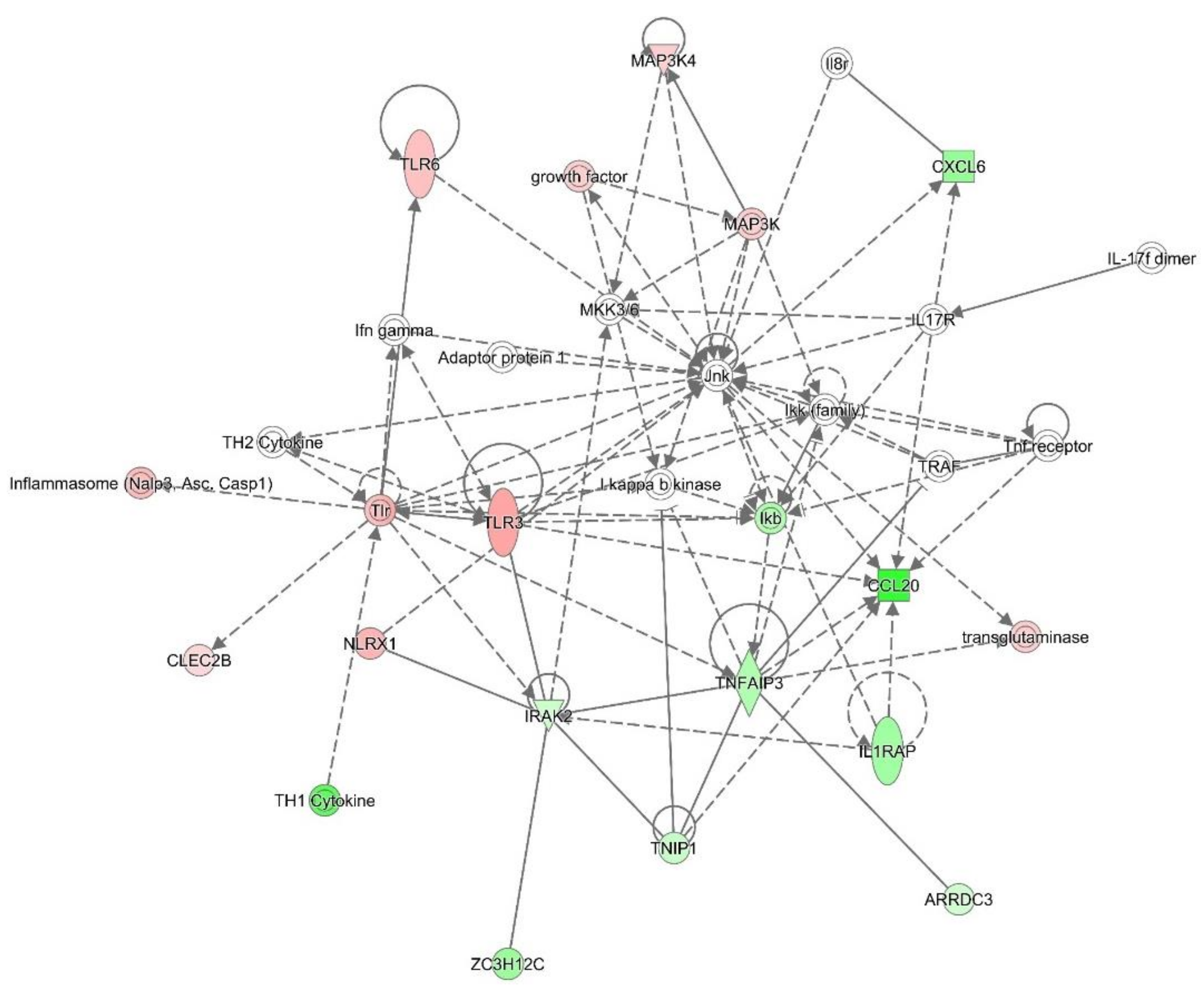 Viruses 12 01299 g006