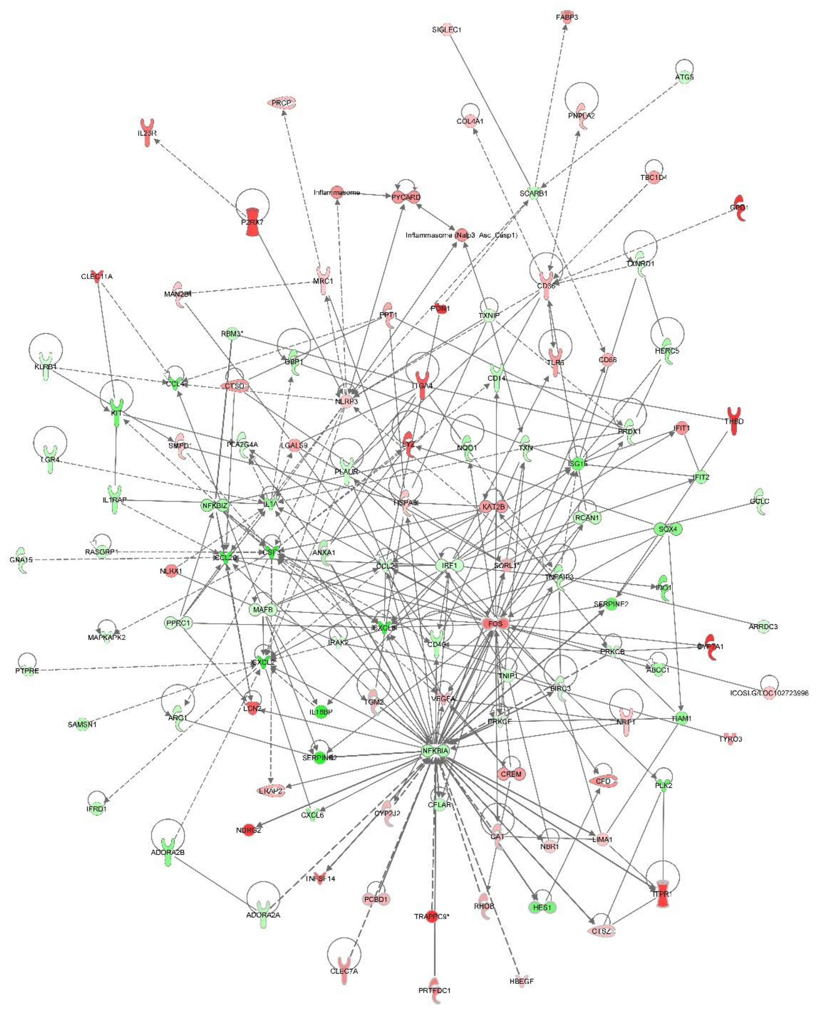 Viruses 12 01299 g007