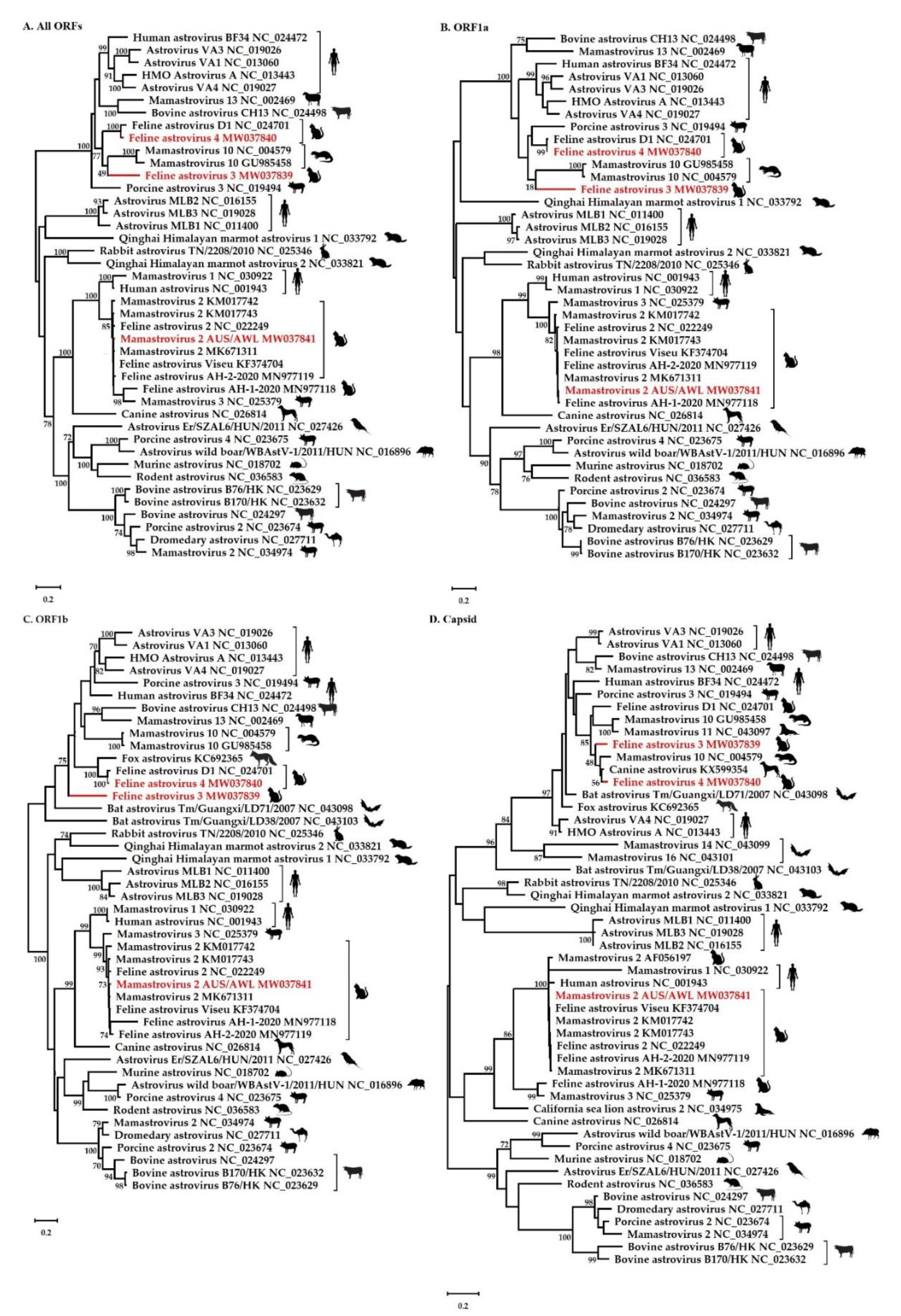 Viruses 12 01301 g002 Viruses 12 01301 g002