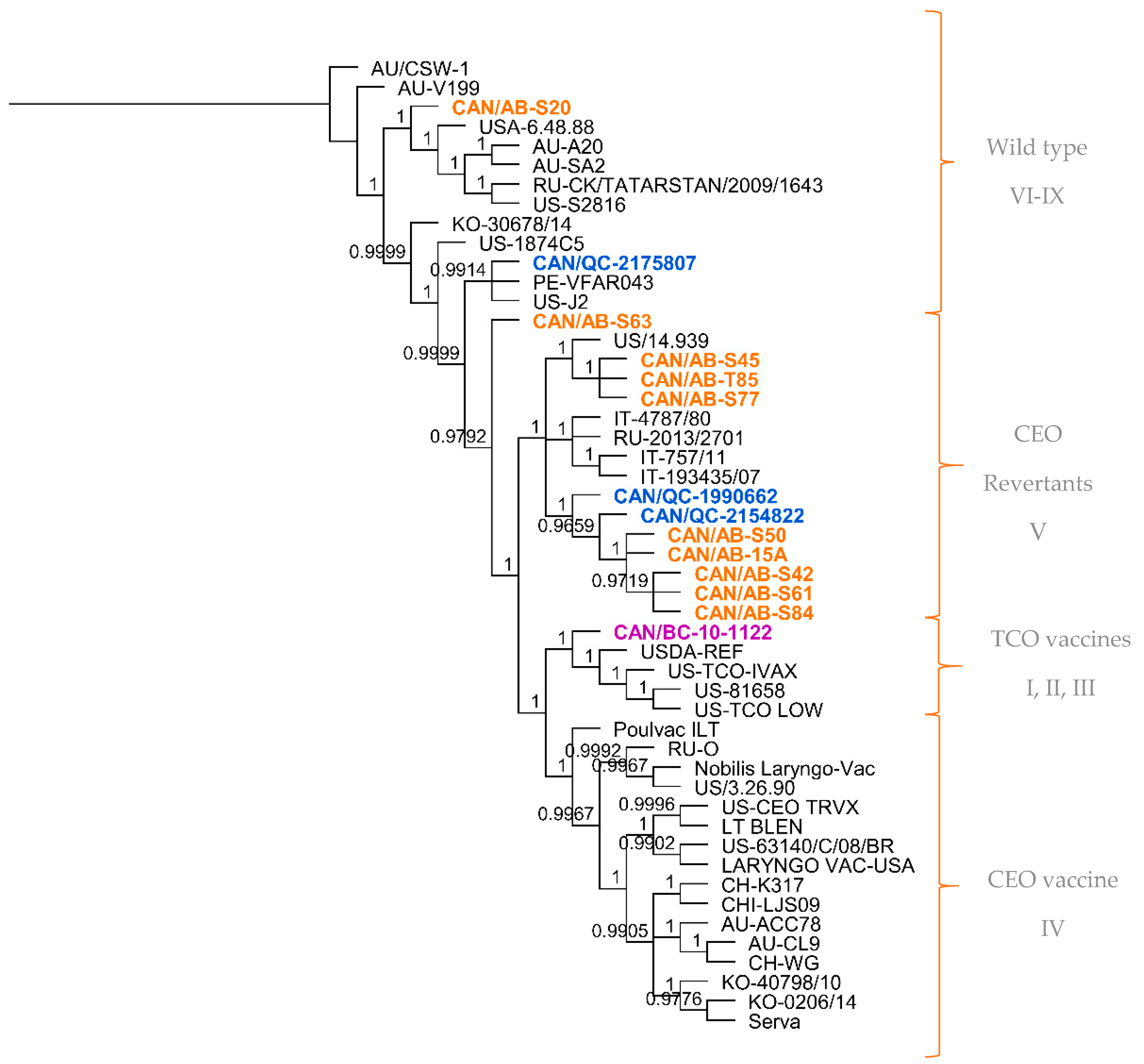 Viruses 12 01302 g001 Viruses 12 01302 g001