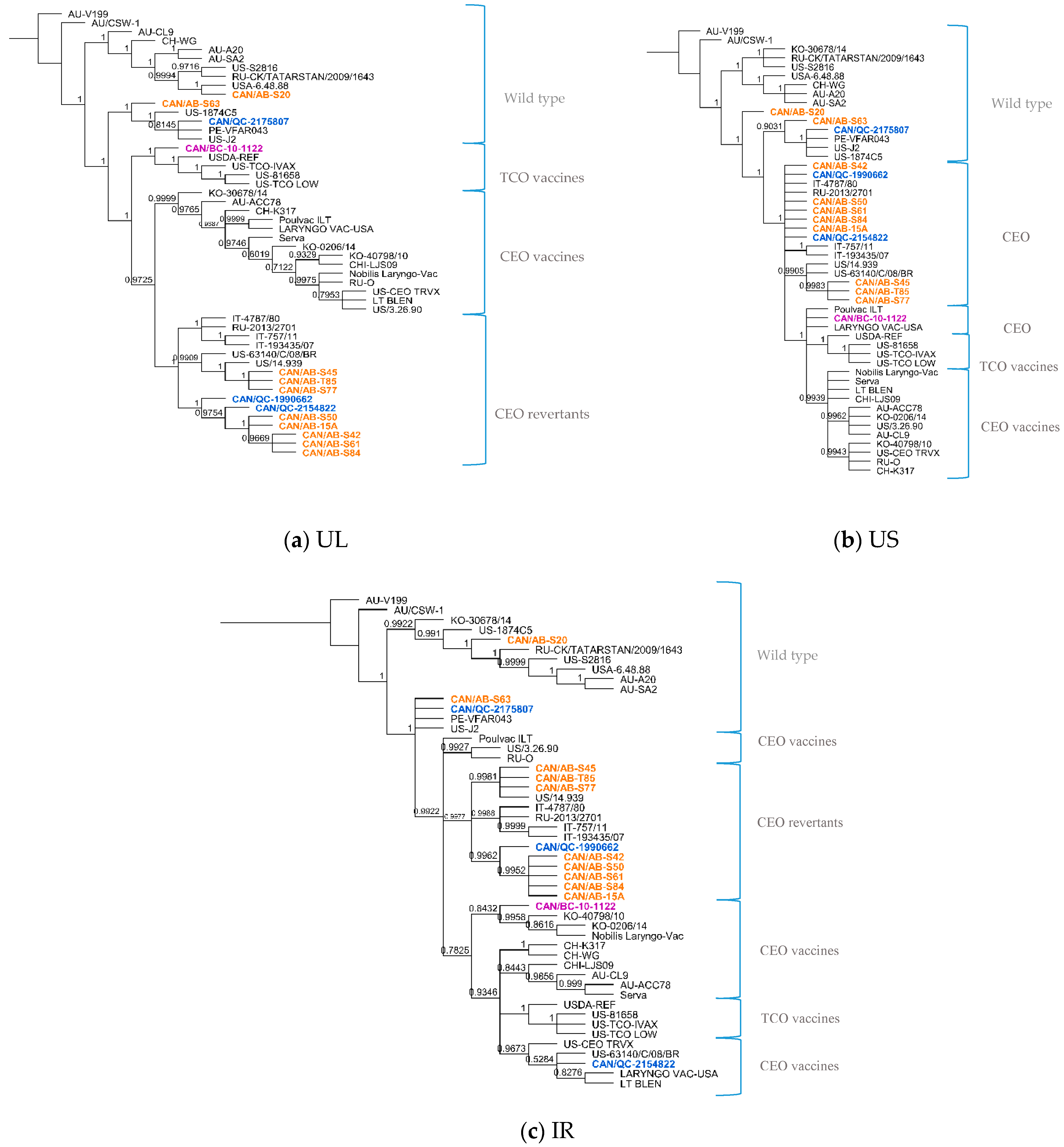 Viruses 12 01302 g002 Viruses 12 01302 g002
