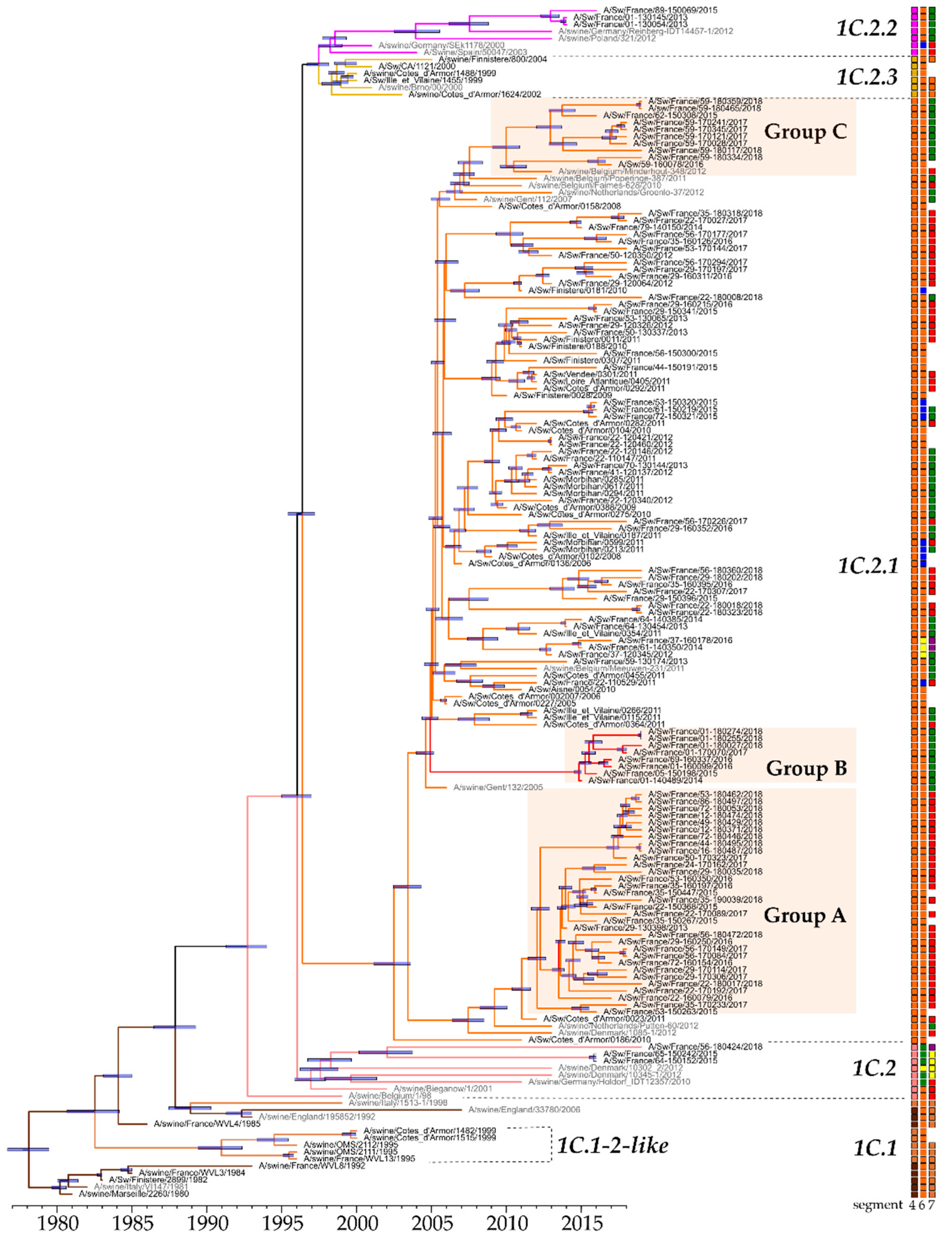 Viruses 12 01304 g002 Viruses 12 01304 g002