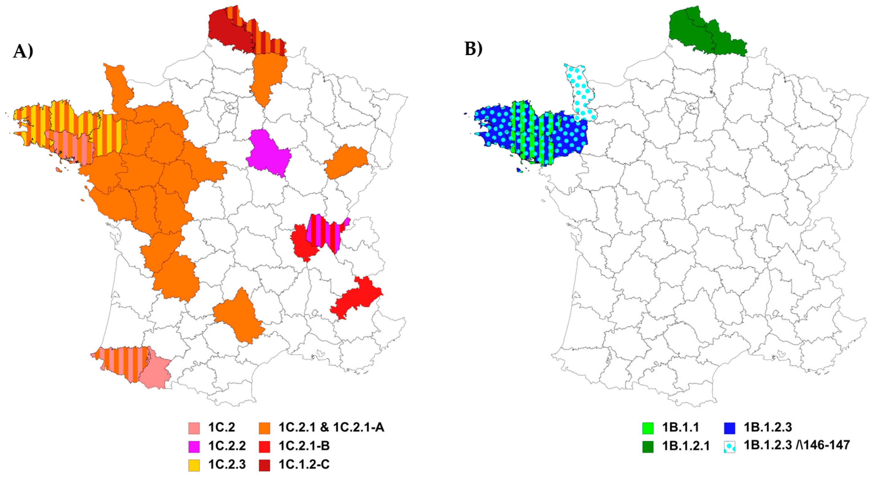 Viruses 12 01304 g003 Viruses 12 01304 g003