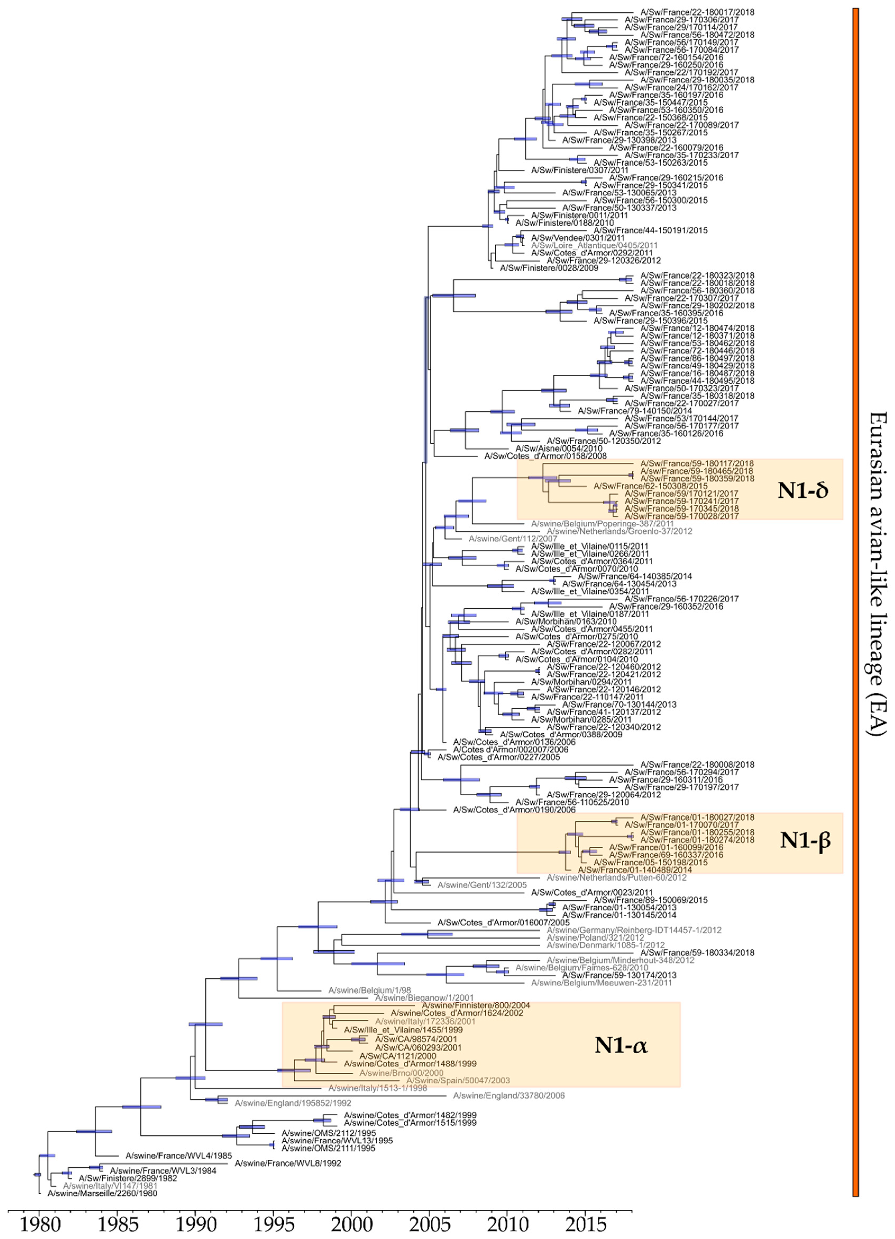 Viruses 12 01304 g005 Viruses 12 01304 g005