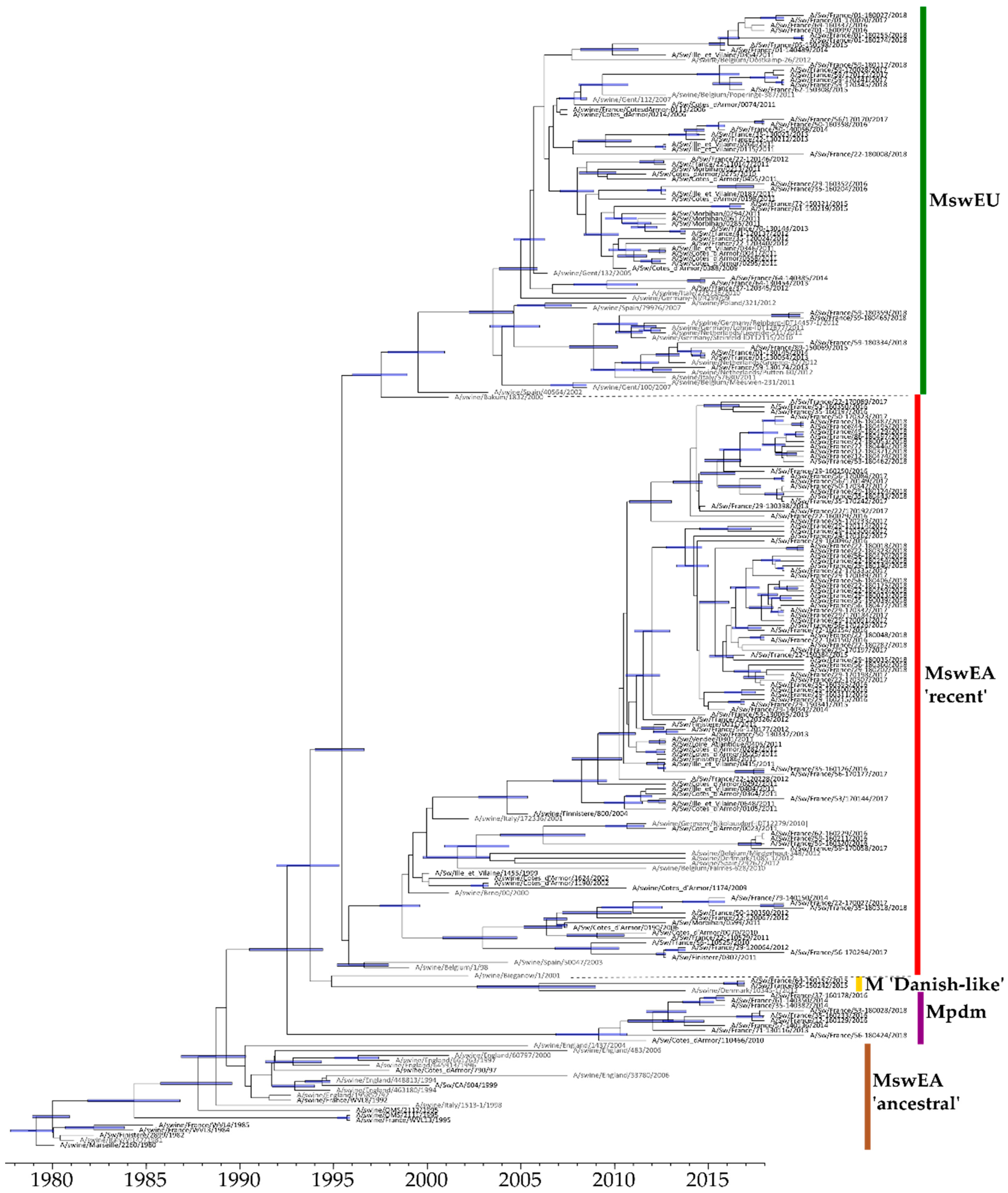 Viruses 12 01304 g007 Viruses 12 01304 g007